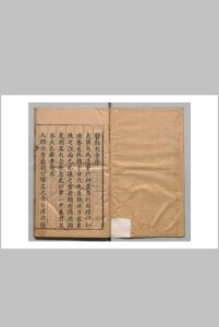 医经大旨 贺岳（明）中华古籍网-专注古书收集中华古籍网