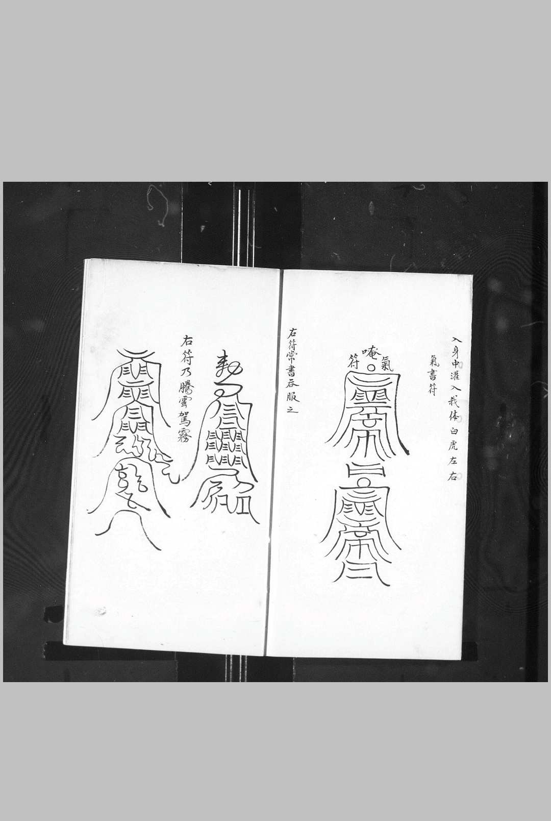 图片[19]-中华古籍网-专注古书收集遁甲奇门 清钞本-中华古籍网-专注古书收集中华古籍网-专注古书收集