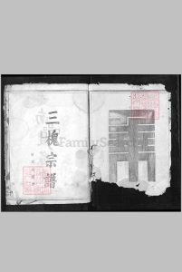 三槐王氏宗谱[总卷数不详]中华古籍网-专注古书收集中华古籍网