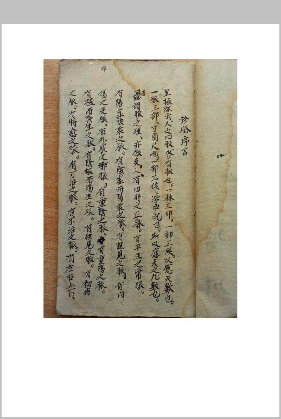 诊脉手抄杨川-中华古籍网-专注古书收集中华古籍网-专注古书收集