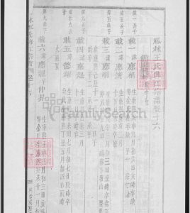 凤林王氏曲江宗谱中华古籍网-专注古书收集中华古籍网