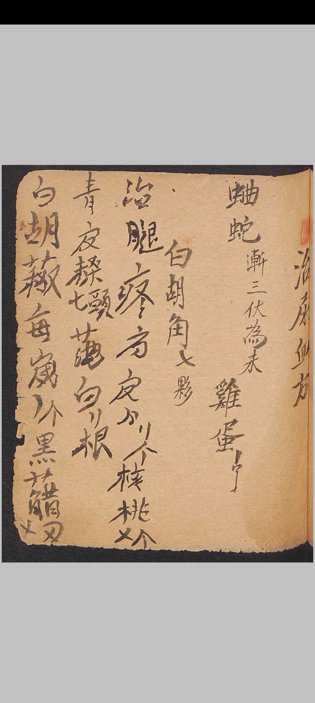 图片[3]-中华古籍网-专注古书收集祖传药方，1897年-中华古籍网-专注古书收集中华古籍网-专注古书收集