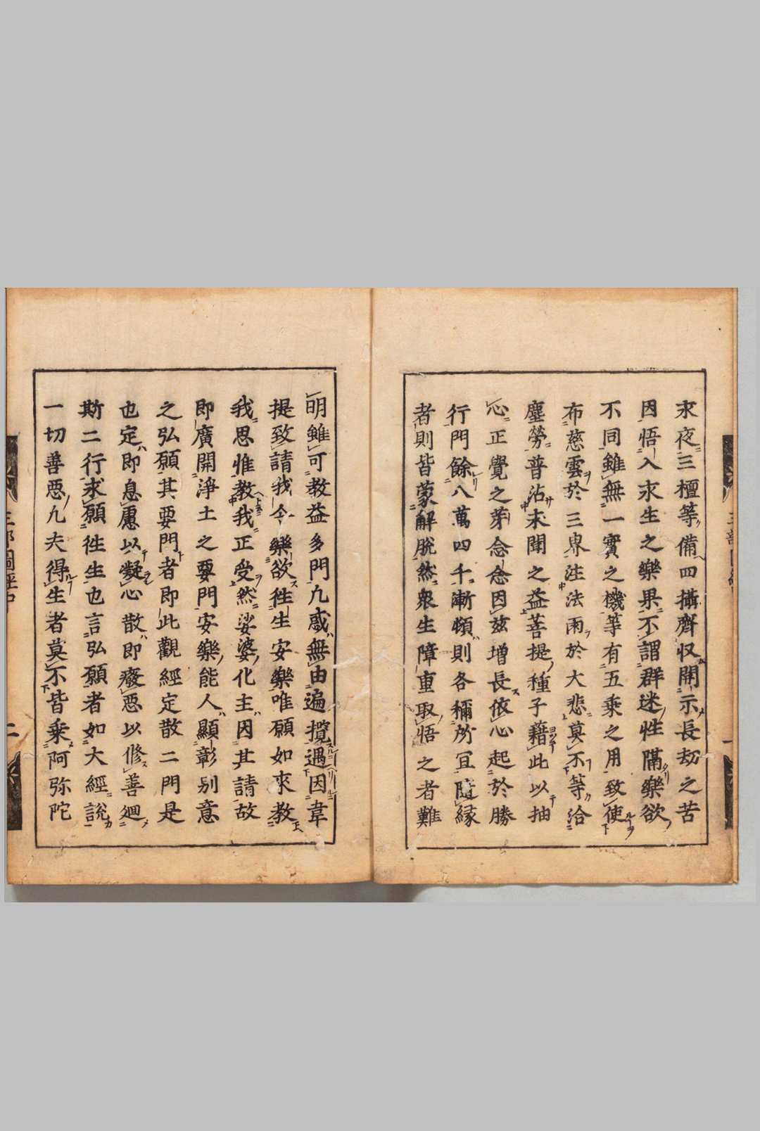 图片[2]-中华古籍网-专注古书收集佛说观无量寿经 疆良耶舍（宋）善导(唐)疏 刊本 ,江戸-中华古籍网-专注古书收集中华古籍网-专注古书收集