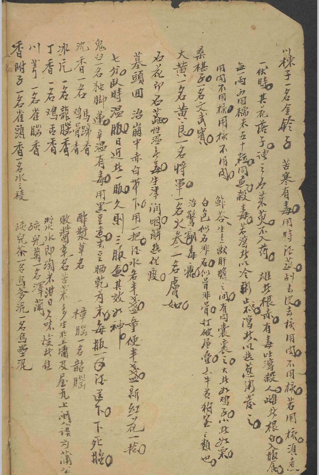 图片[5]-中华古籍网-专注古书收集纪云 药及方杂抄   1900-中华古籍网-专注古书收集中华古籍网-专注古书收集