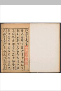 袁中郎先生批评唐伯虎汇集  四卷, 附 外集一卷, 唐六如先生画谱三卷, 纪事一卷, 传赞一卷 唐寅撰  袁弘道批评中华古籍网-专注古书收集中华古籍网