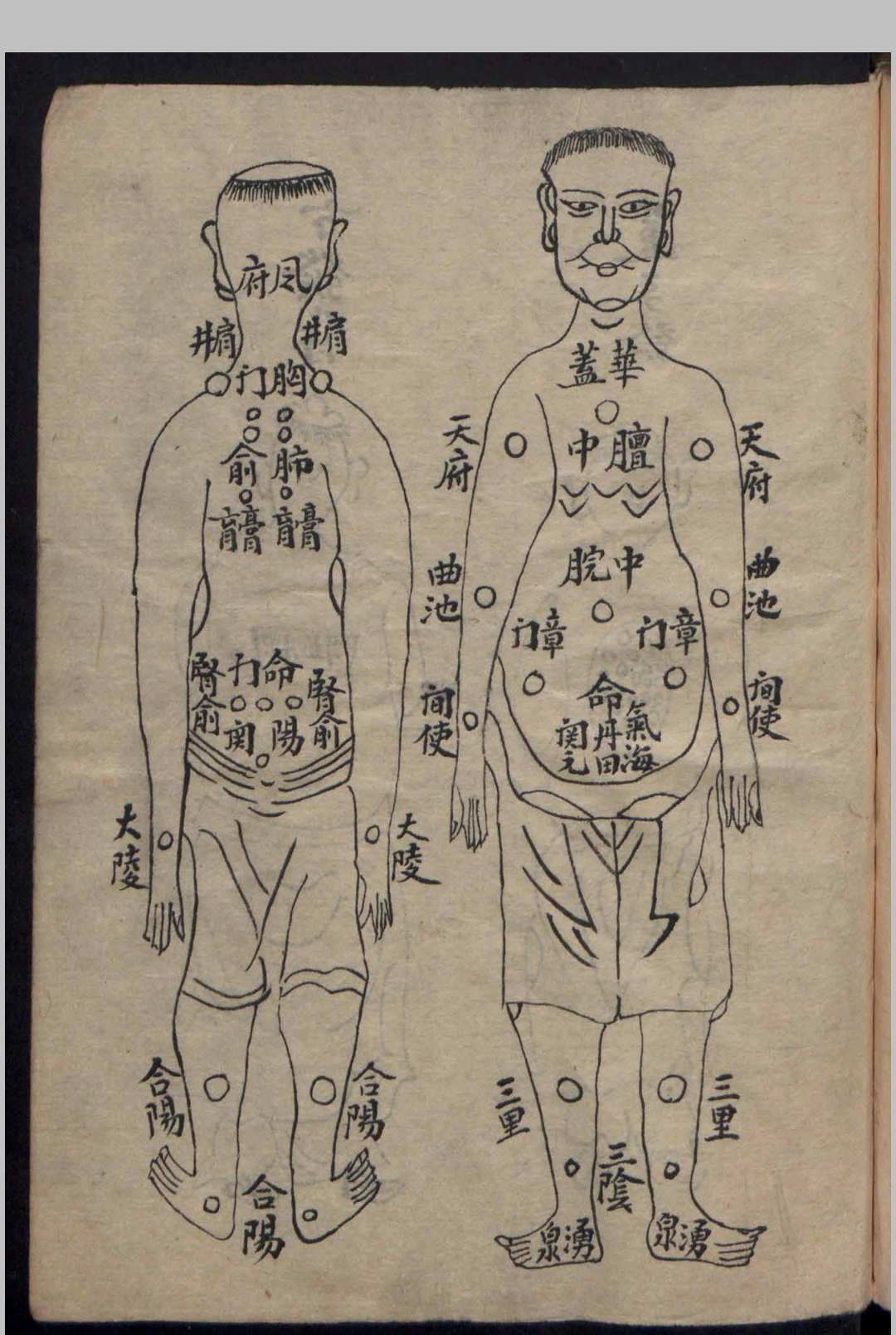 图片[8]-中华古籍网-专注古书收集诸葛一生    何文元  伤外科-中华古籍网-专注古书收集中华古籍网-专注古书收集