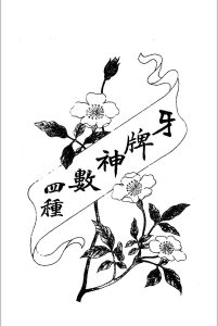 牙牌神数四种 [(清)岳庆山樵著] 清光绪22[1896][文盛堂]中华古籍网-专注古书收集中华古籍网