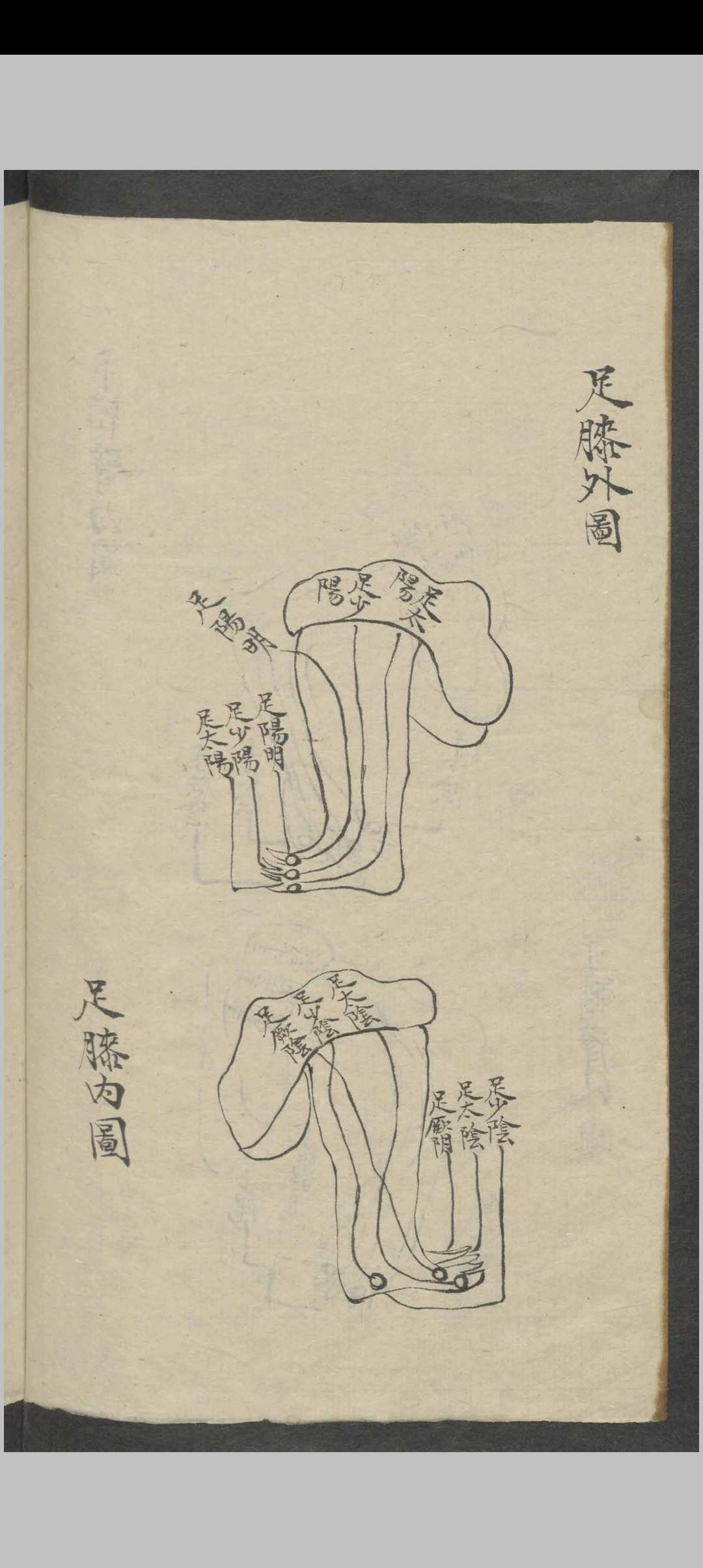 图片[15]-中华古籍网-专注古书收集医书秘诀   1865-中华古籍网-专注古书收集中华古籍网-专注古书收集