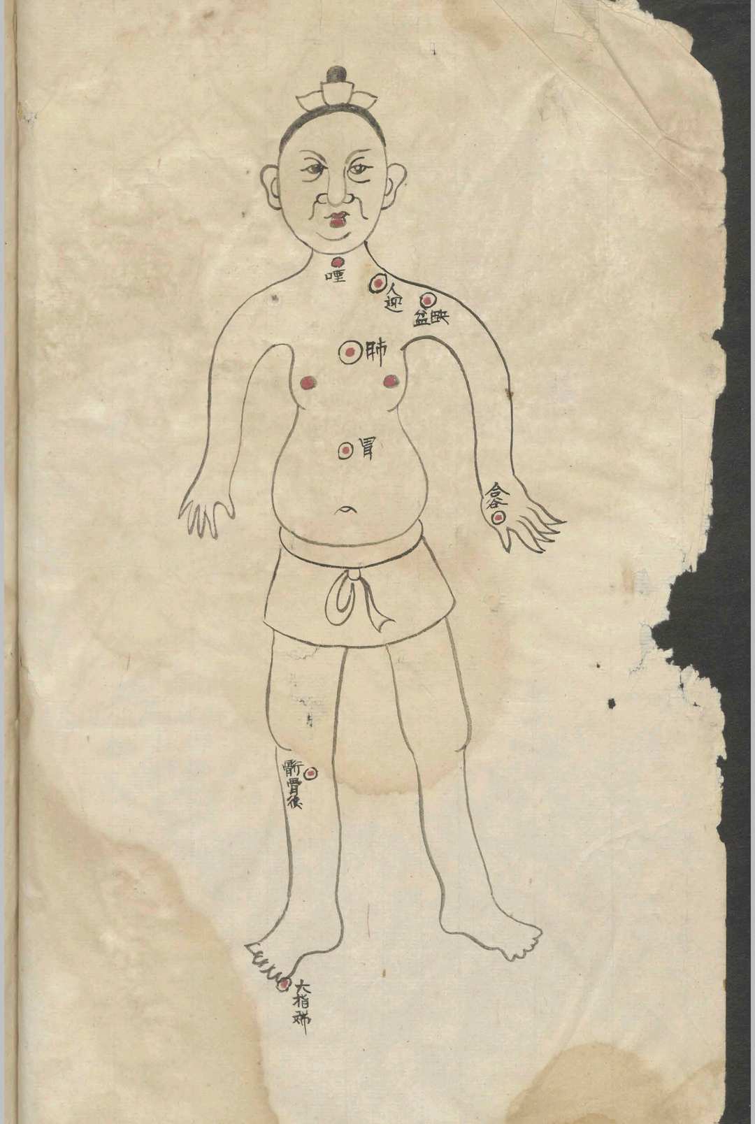 经穴摘要歌诀百症赋笺注合编   1900-中华古籍网-专注古书收集中华古籍网-专注古书收集