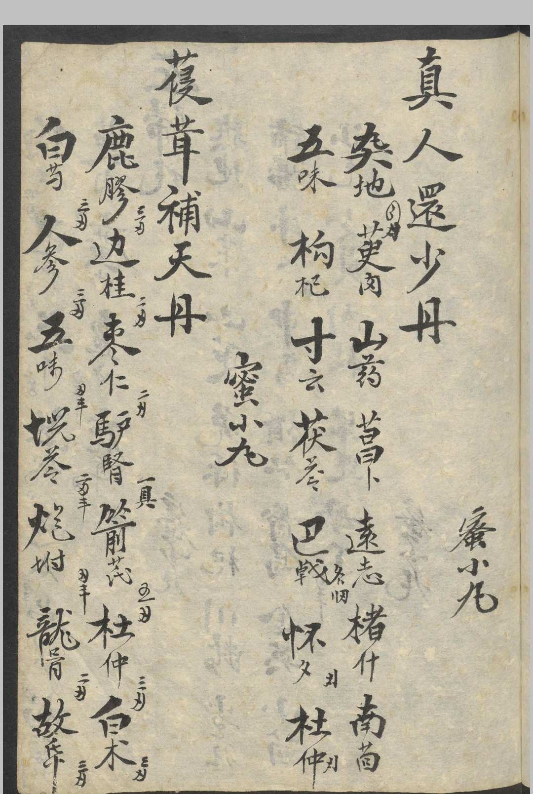 图片[5]-中华古籍网-专注古书收集丸散药方   1900-中华古籍网-专注古书收集中华古籍网-专注古书收集