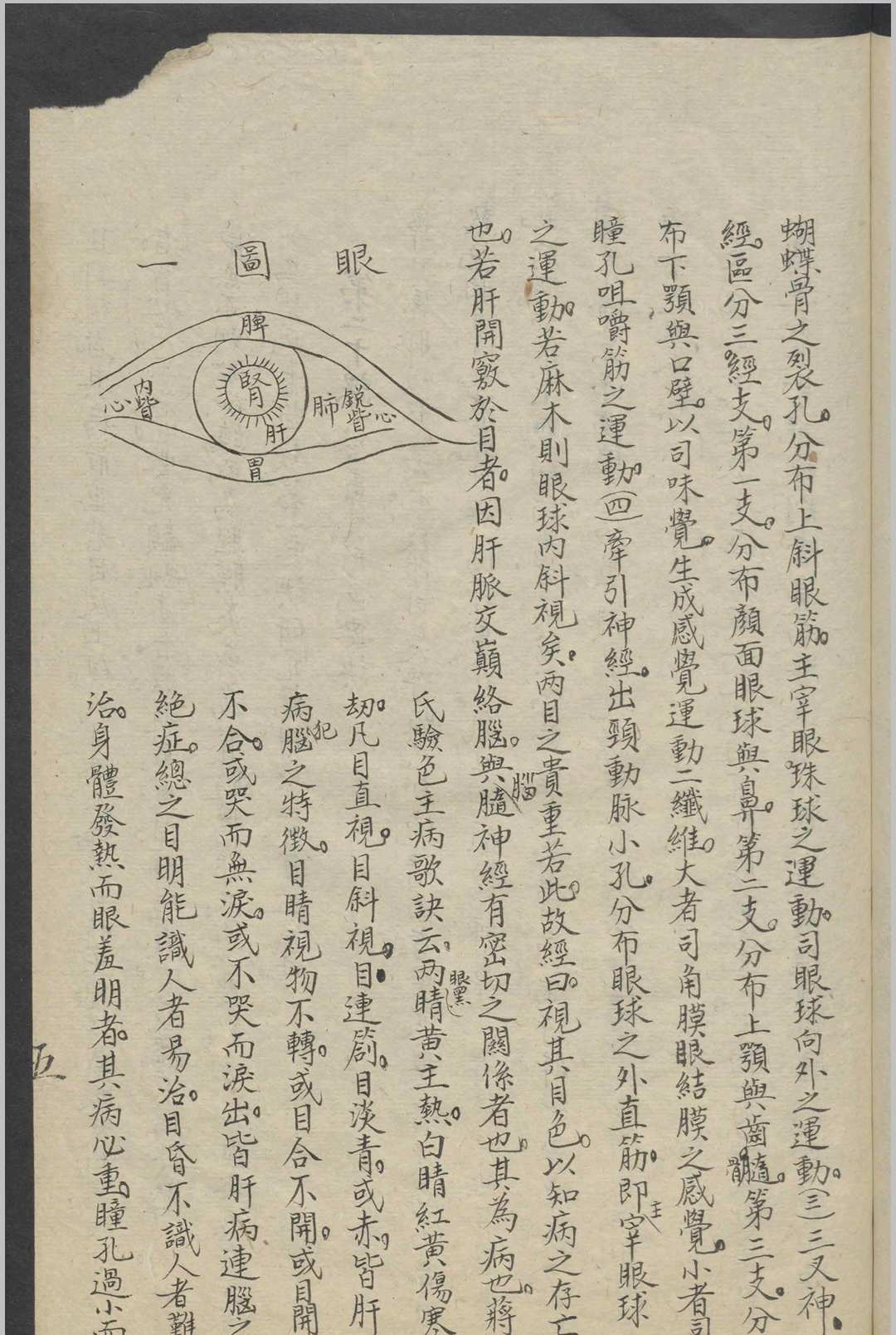 图片[13]-中华古籍网-专注古书收集彝庭小儿科推拿医术讲义   1936-中华古籍网-专注古书收集中华古籍网-专注古书收集