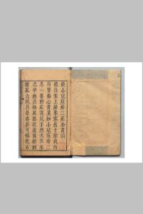小儿痘疹二症全书 吴子扬（明）中华古籍网-专注古书收集中华古籍网