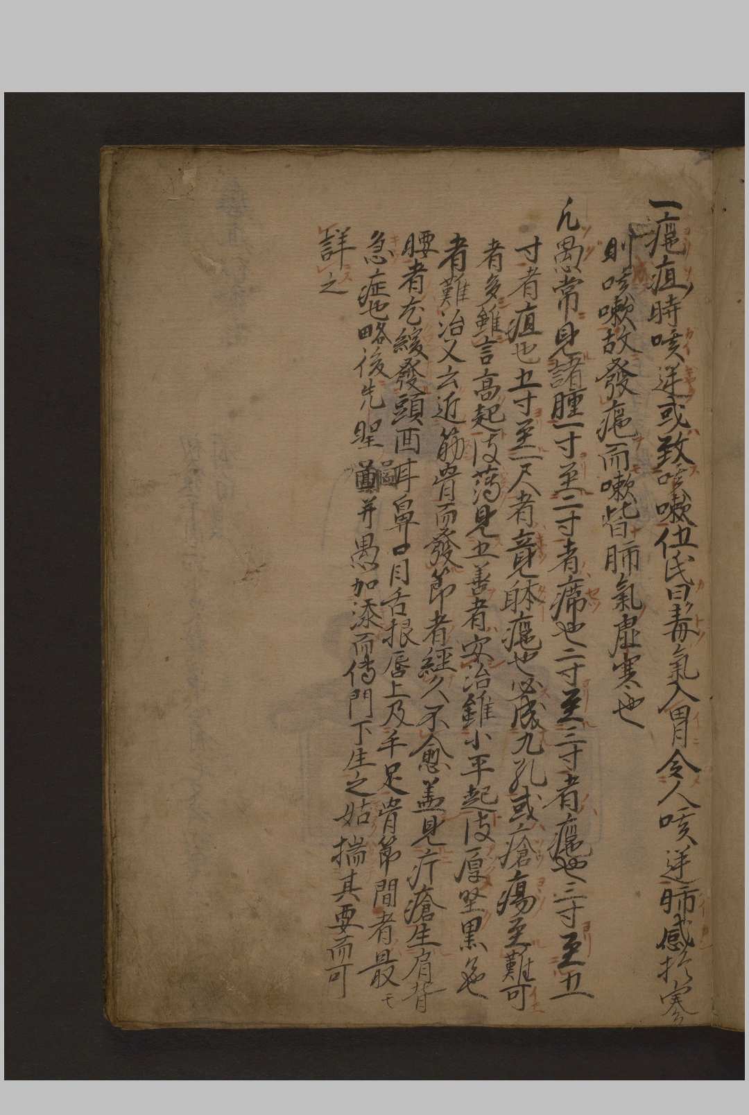 图片[8]-中华古籍网-专注古书收集瘤痘图说 彩色抄本 1600年-中华古籍网-专注古书收集中华古籍网-专注古书收集