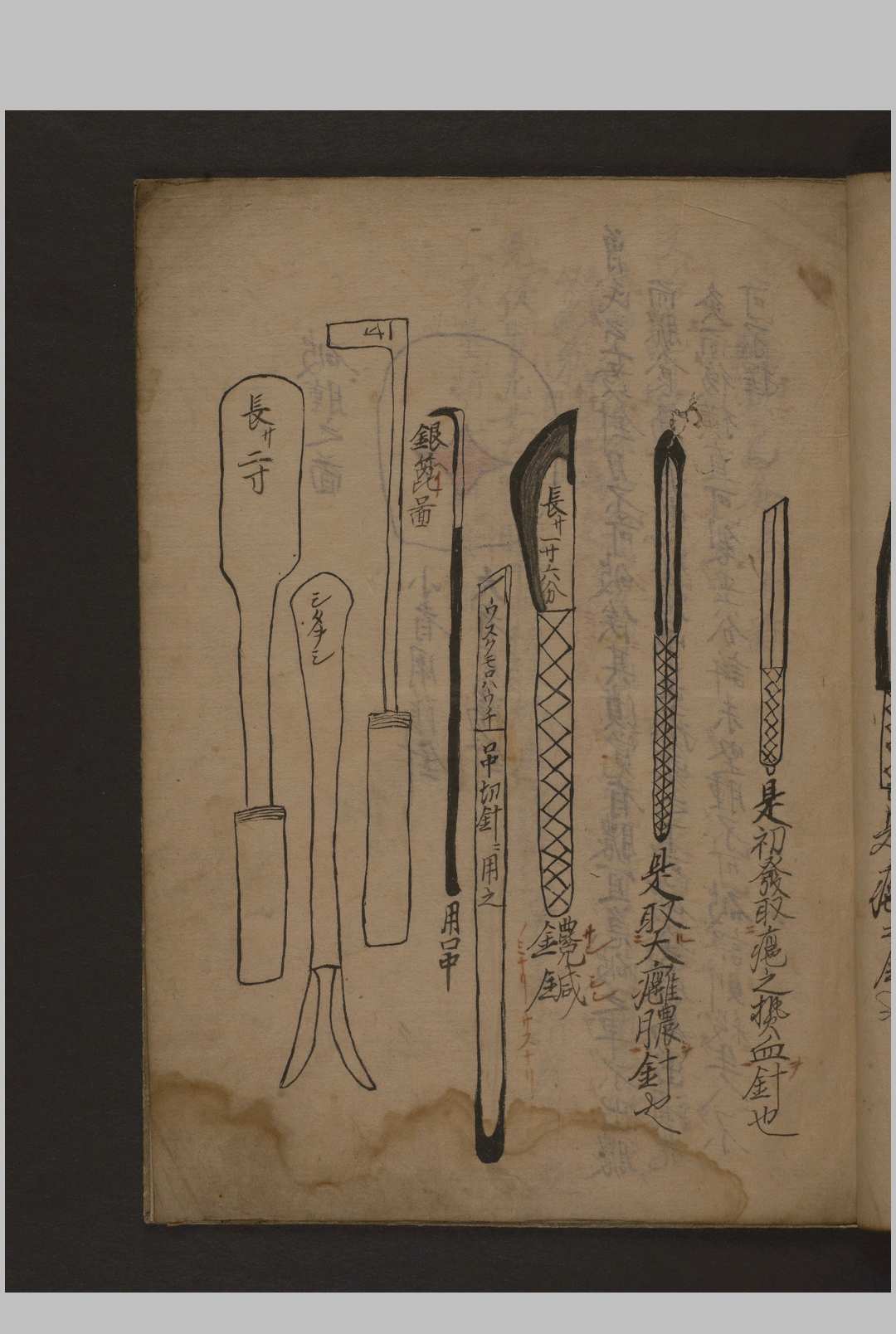 图片[7]-中华古籍网-专注古书收集瘤痘图说 彩色抄本 1600年-中华古籍网-专注古书收集中华古籍网-专注古书收集