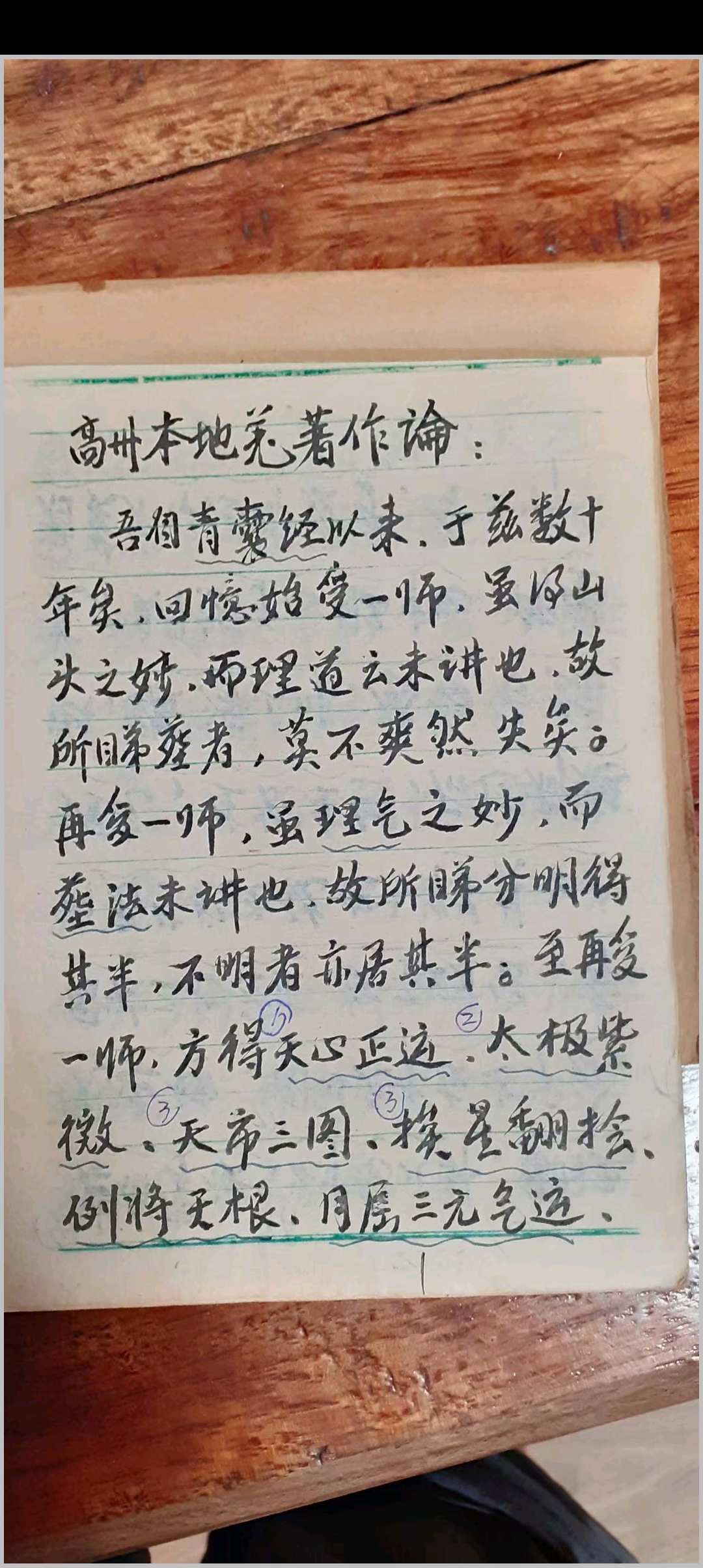 高州本地姜著作论手抄本-中华古籍网-专注古书收集中华古籍网-专注古书收集