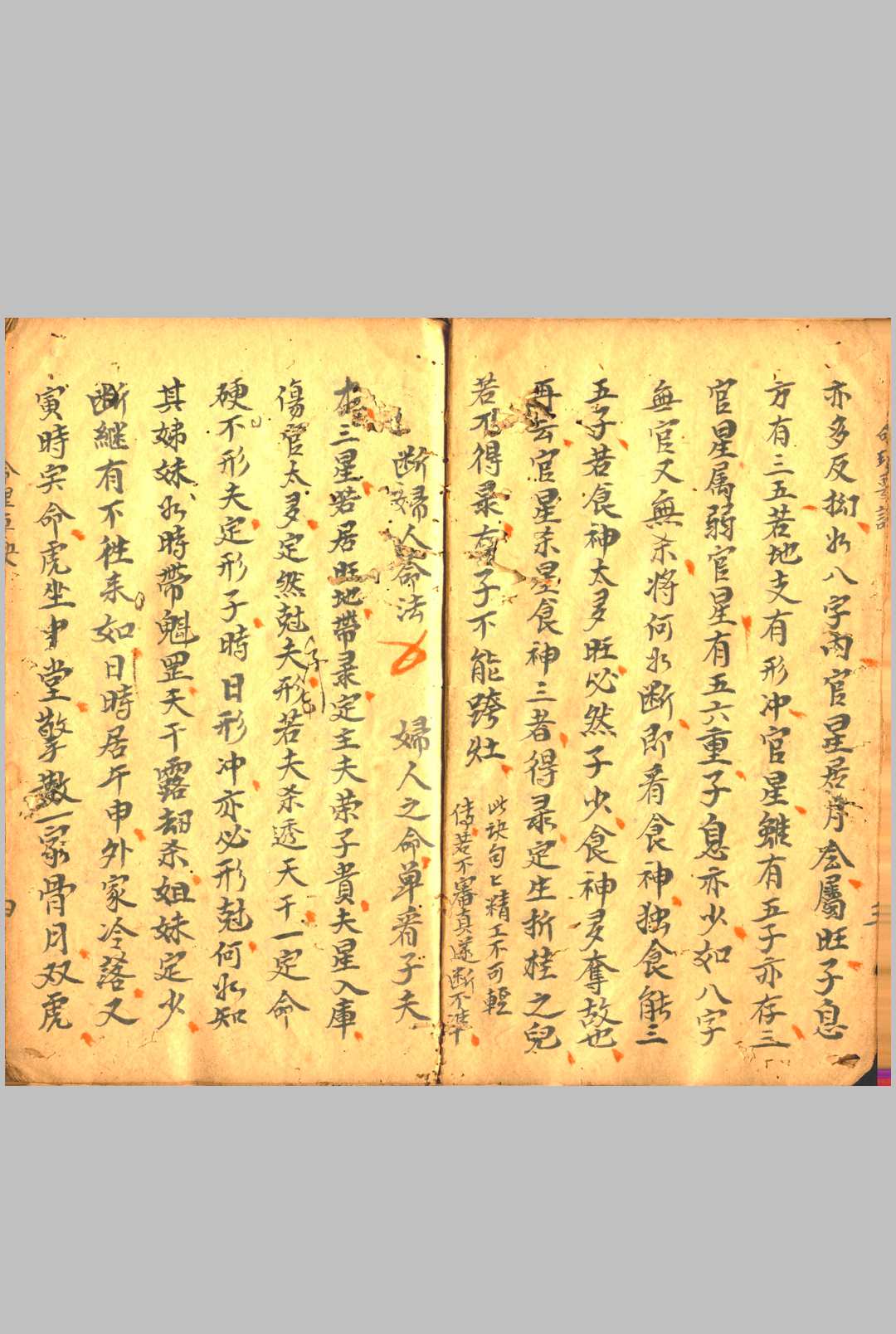 图片[5]-中华古籍网-专注古书收集命理用书-中华古籍网-专注古书收集中华古籍网-专注古书收集
