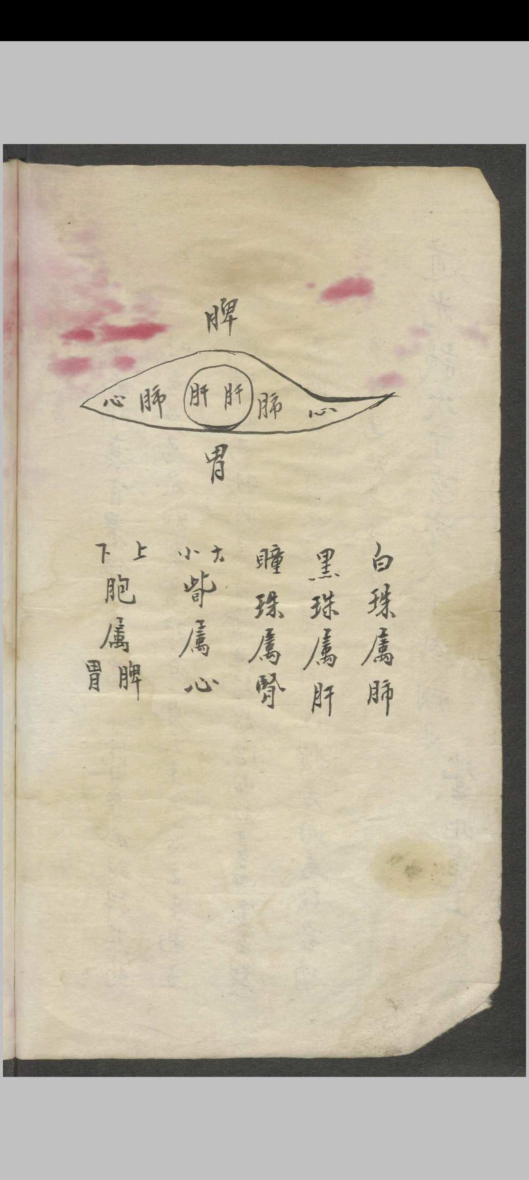 图片[3]-中华古籍网-专注古书收集高逢元 眼科秘书   1930-中华古籍网-专注古书收集中华古籍网-专注古书收集