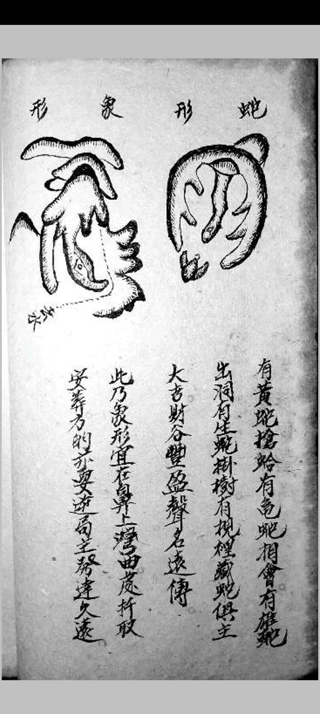 图片[4]-中华古籍网-专注古书收集地理秘笈吉宅论诀-中华古籍网-专注古书收集中华古籍网-专注古书收集