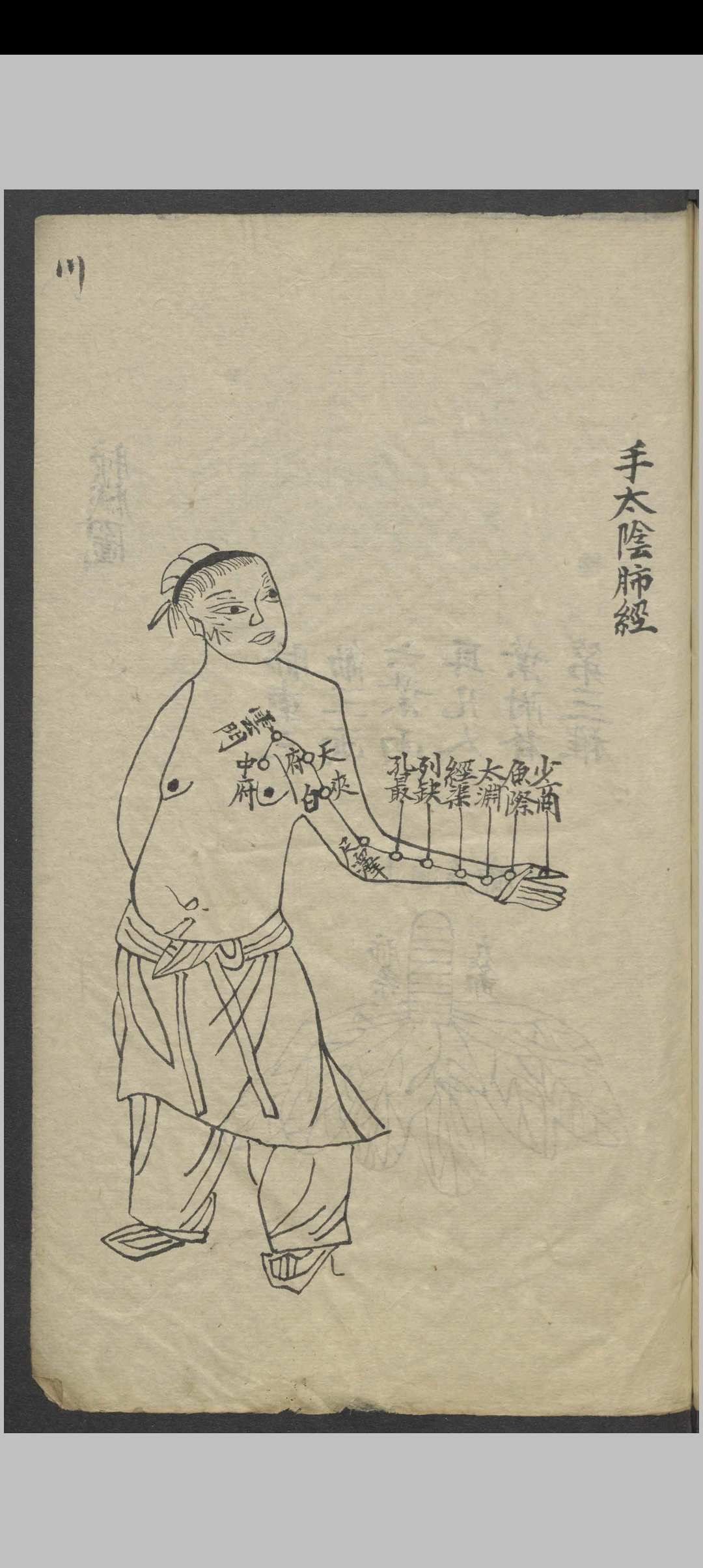 图片[6]-中华古籍网-专注古书收集针灸全图汇编   1900-中华古籍网-专注古书收集中华古籍网-专注古书收集