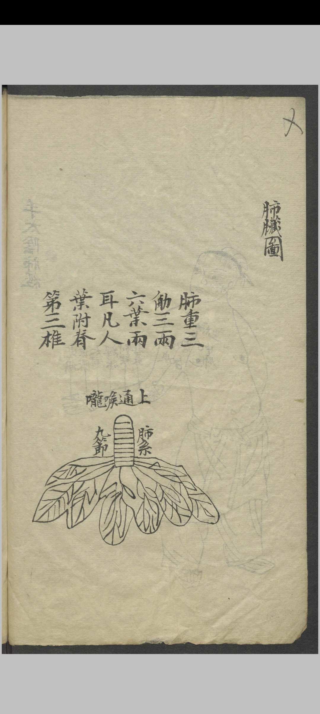 图片[9]-中华古籍网-专注古书收集针灸全图汇编   1900-中华古籍网-专注古书收集中华古籍网-专注古书收集