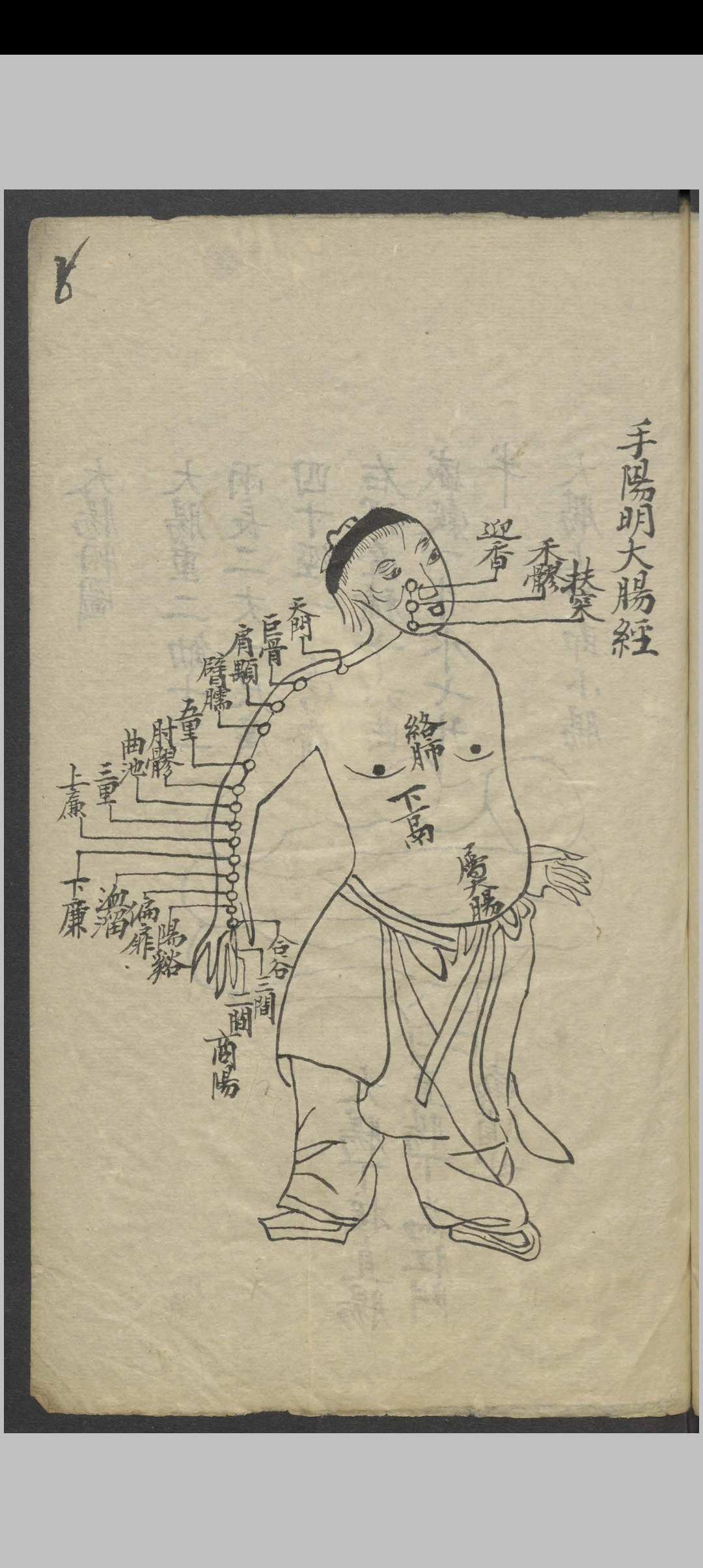 图片[13]-中华古籍网-专注古书收集针灸全图汇编   1900-中华古籍网-专注古书收集中华古籍网-专注古书收集