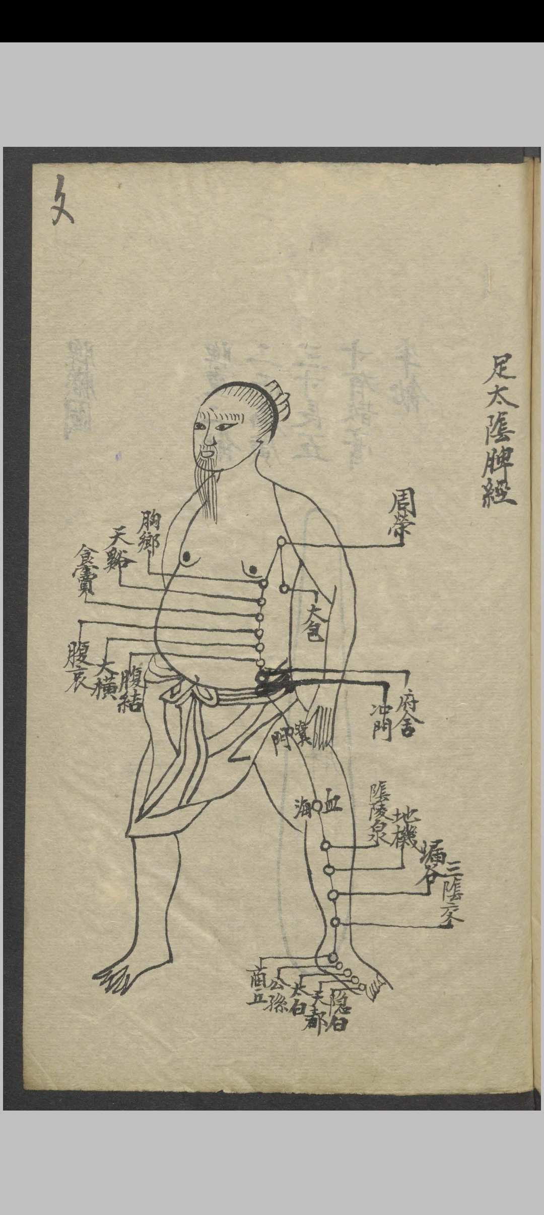 图片[12]-中华古籍网-专注古书收集针灸全图汇编   1900-中华古籍网-专注古书收集中华古籍网-专注古书收集