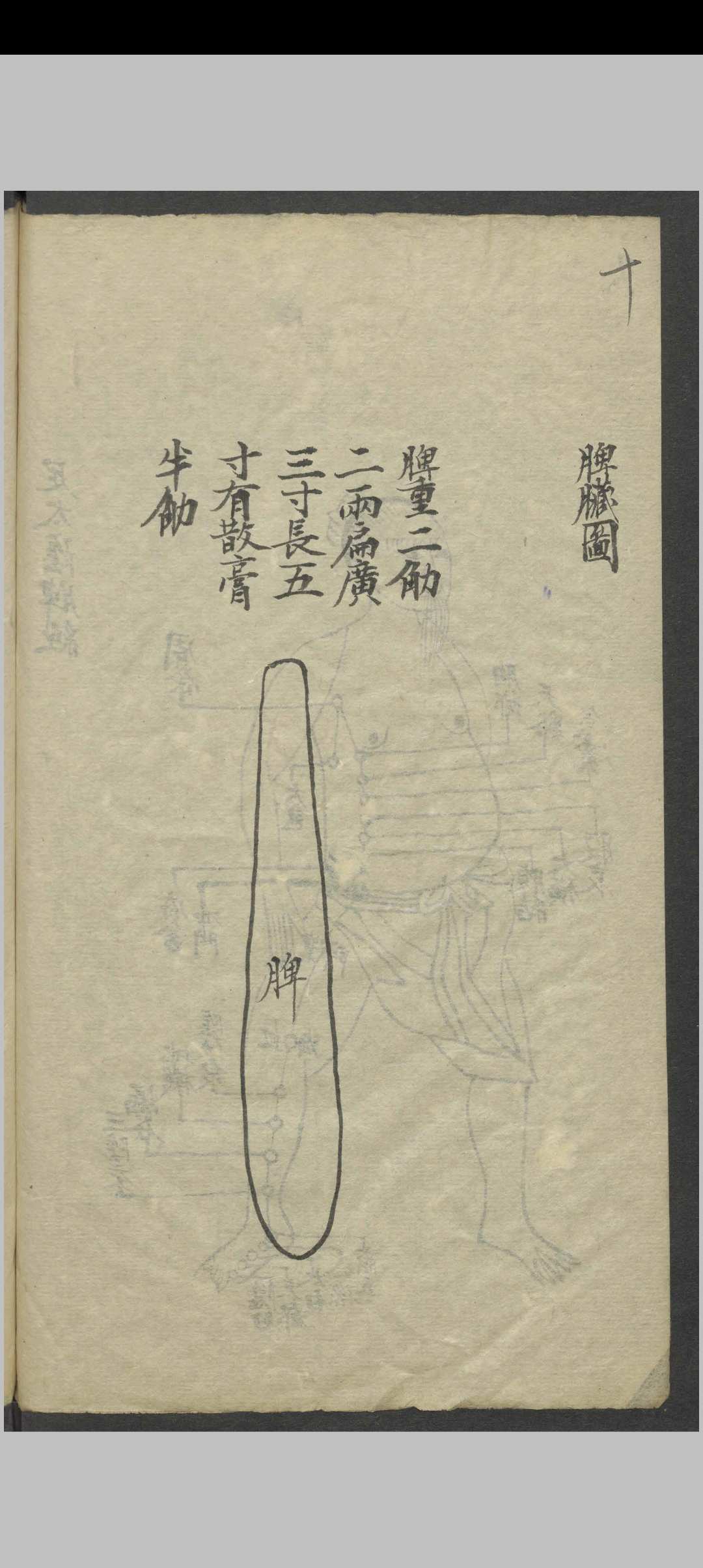 图片[11]-中华古籍网-专注古书收集针灸全图汇编   1900-中华古籍网-专注古书收集中华古籍网-专注古书收集