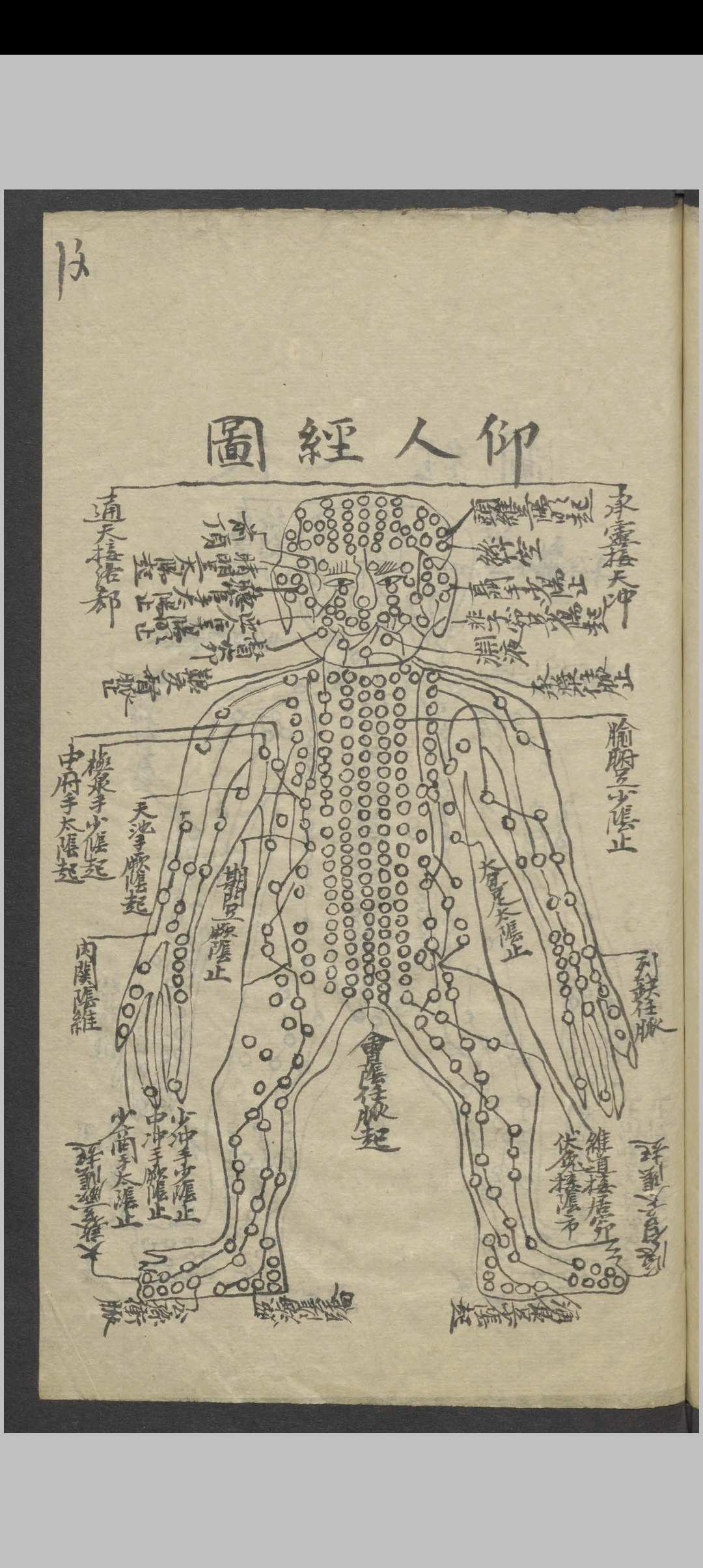图片[8]-中华古籍网-专注古书收集针灸全图汇编   1900-中华古籍网-专注古书收集中华古籍网-专注古书收集