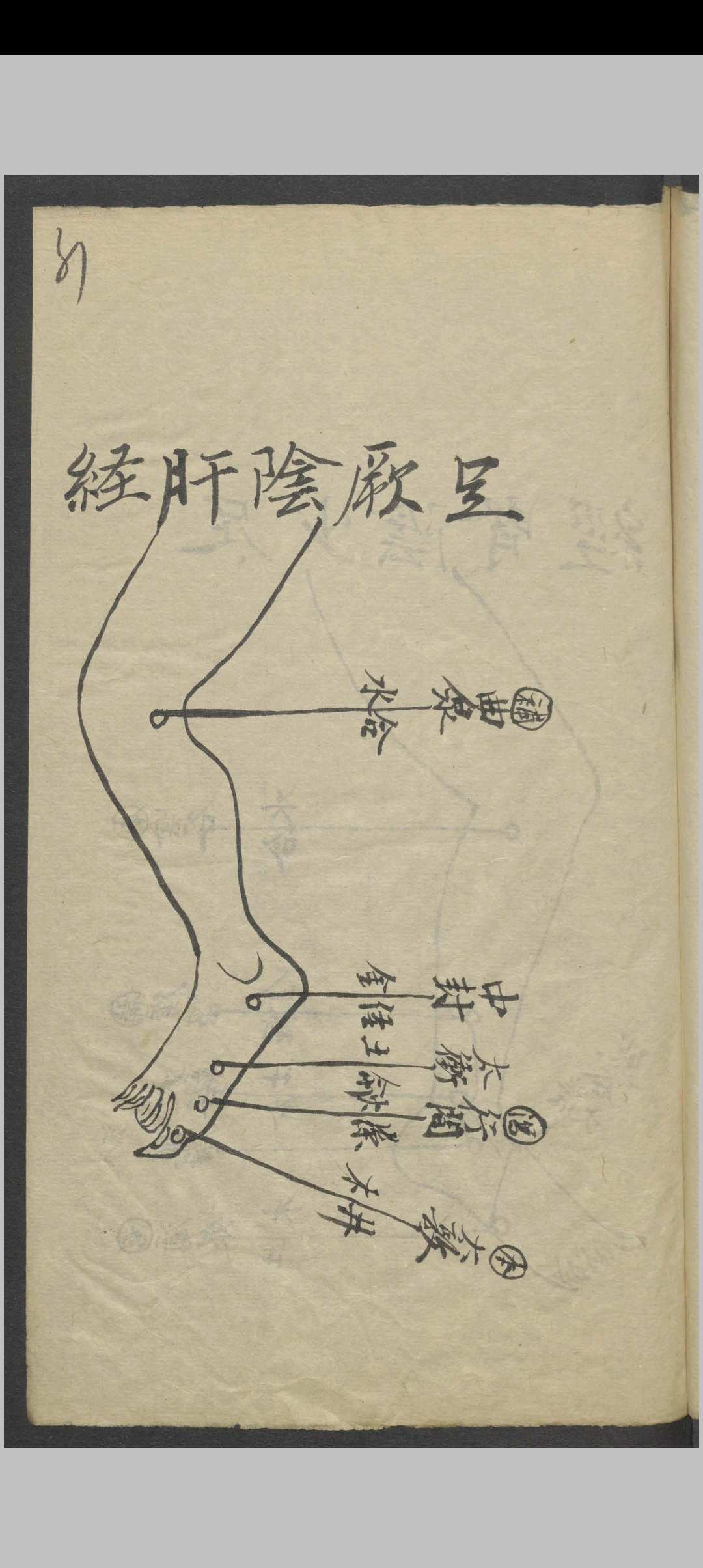 图片[10]-中华古籍网-专注古书收集针灸全图汇编   1900-中华古籍网-专注古书收集中华古籍网-专注古书收集