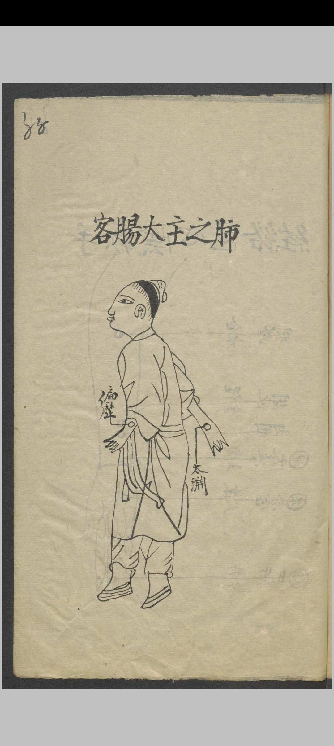 图片[14]-中华古籍网-专注古书收集针灸全图汇编   1900-中华古籍网-专注古书收集中华古籍网-专注古书收集