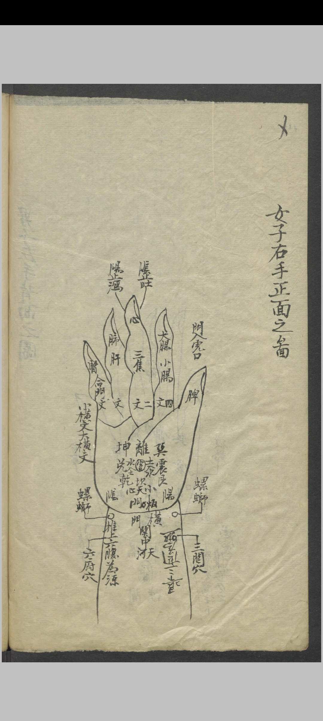 图片[15]-中华古籍网-专注古书收集针灸全图汇编   1900-中华古籍网-专注古书收集中华古籍网-专注古书收集