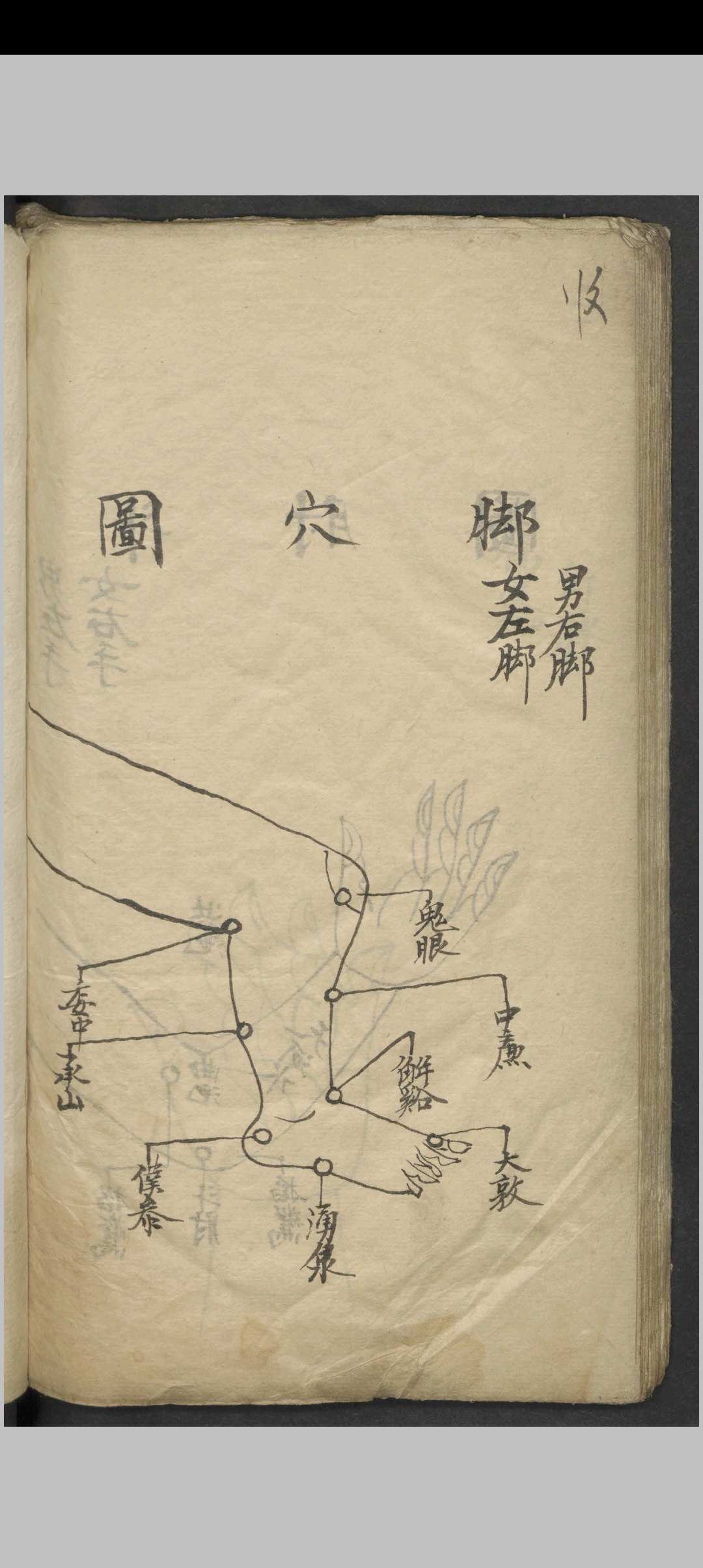 图片[16]-中华古籍网-专注古书收集针灸全图汇编   1900-中华古籍网-专注古书收集中华古籍网-专注古书收集