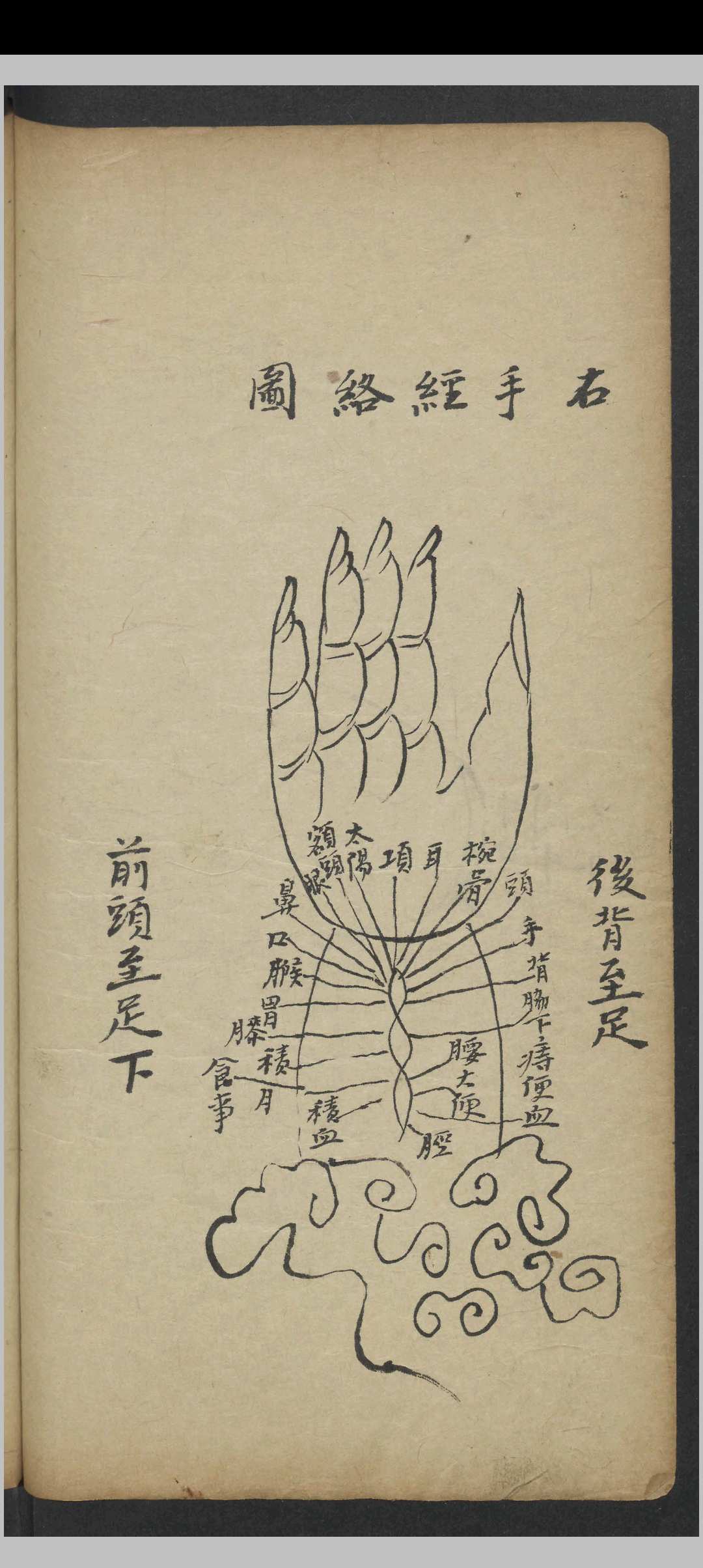 图片[6]-中华古籍网-专注古书收集阜东氏 脉诀精选   1900-中华古籍网-专注古书收集中华古籍网-专注古书收集