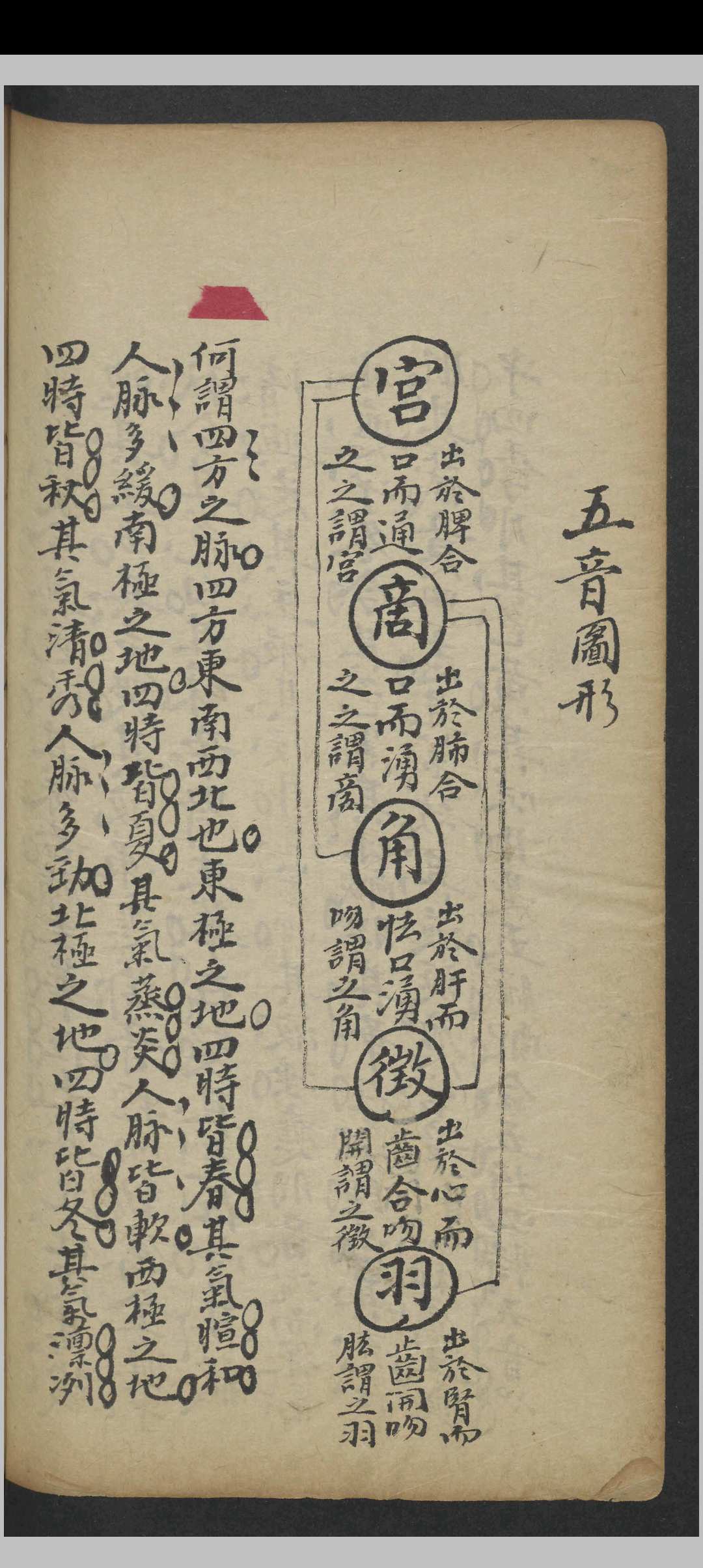 图片[13]-中华古籍网-专注古书收集阜东氏 脉诀精选   1900-中华古籍网-专注古书收集中华古籍网-专注古书收集