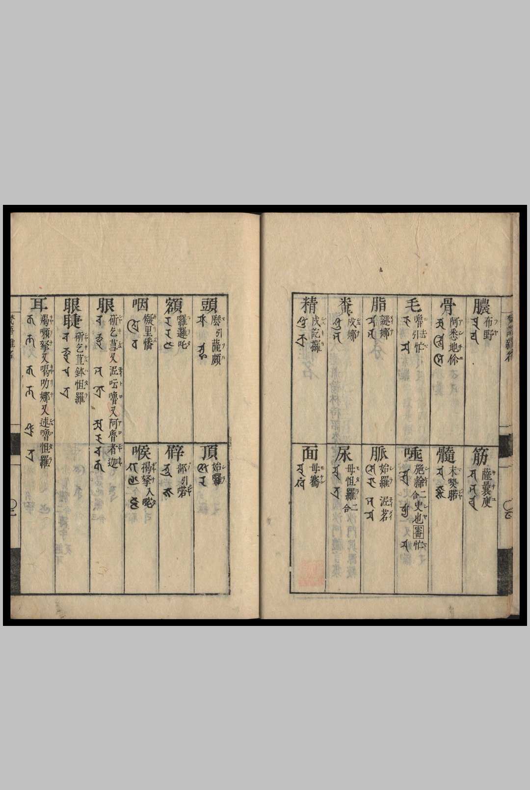 图片[3]-中华古籍网-专注古书收集梵语杂名  慈觉大师请来 礼言 真源较 1732-中华古籍网-专注古书收集中华古籍网-专注古书收集