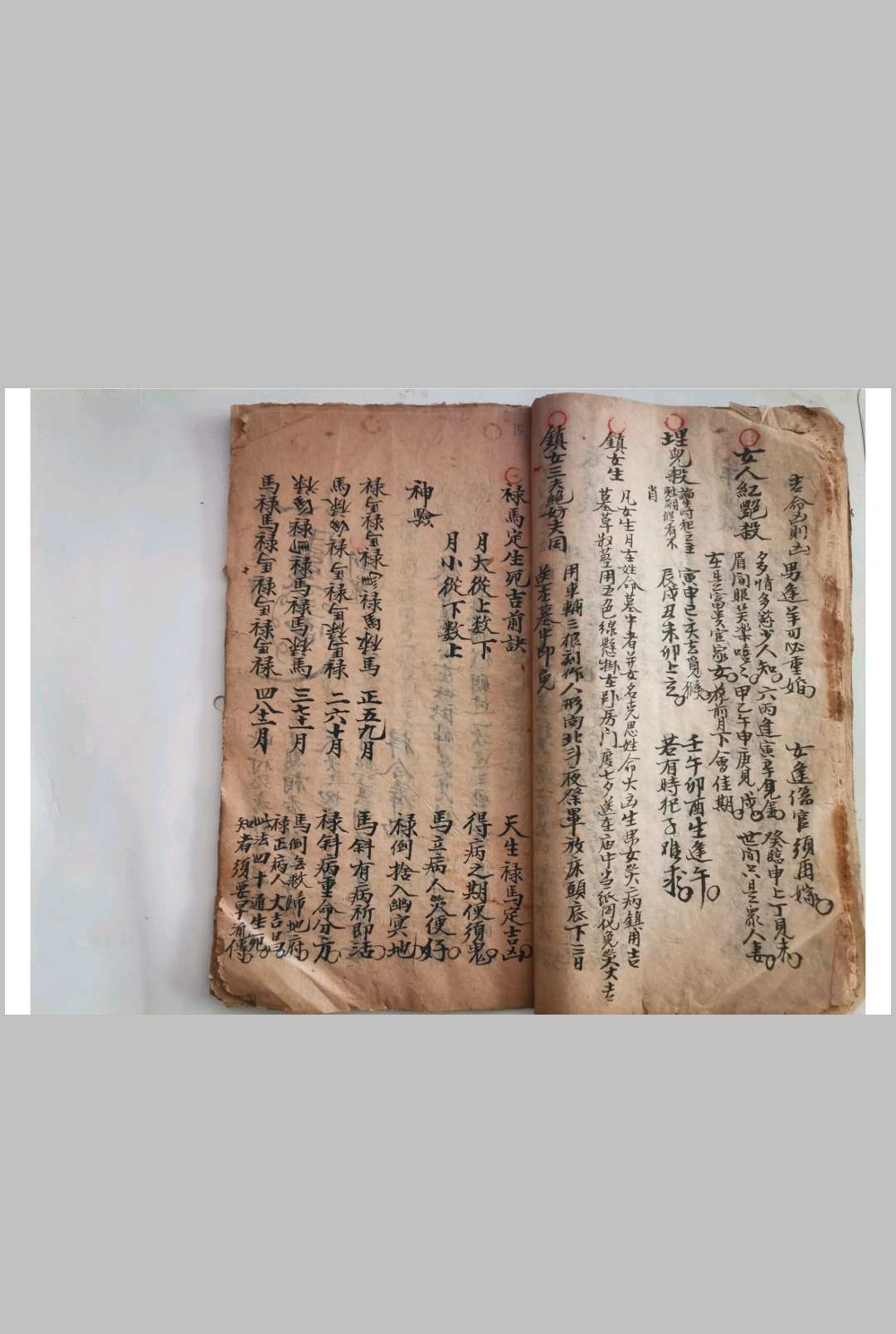 图片[10]-中华古籍网-专注古书收集神验（八字）-中华古籍网-专注古书收集中华古籍网-专注古书收集