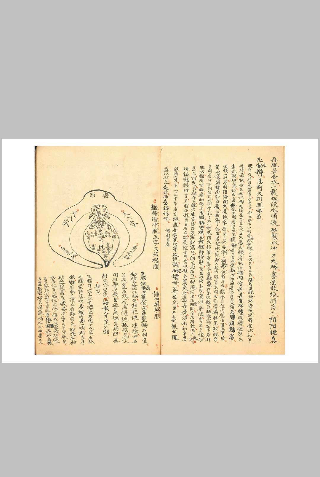 图片[5]-中华古籍网-专注古书收集杨曾家传龙穴砂水精微-中华古籍网-专注古书收集中华古籍网-专注古书收集