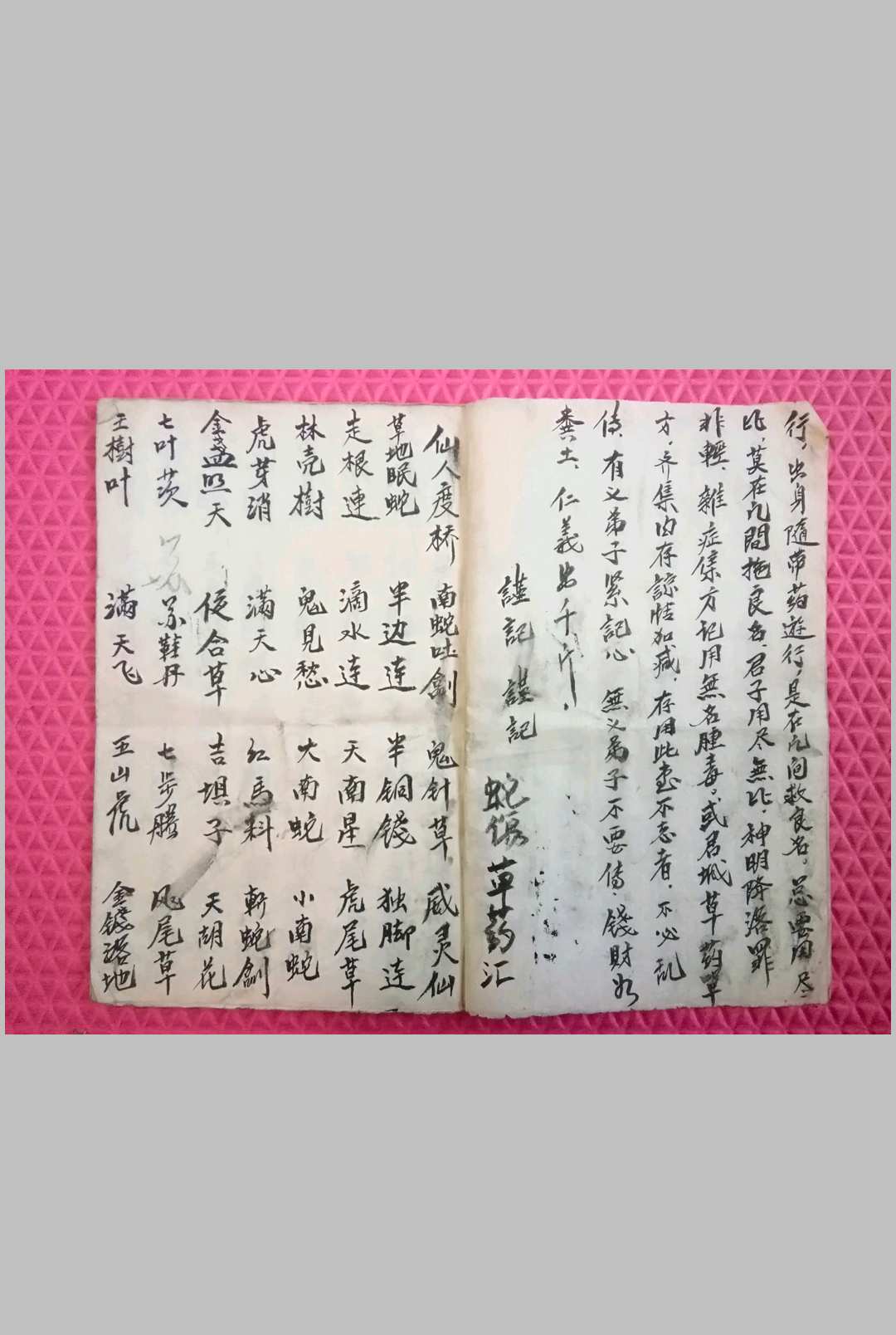 图片[3]-中华古籍网-专注古书收集蛇伤科草药本与蛇法符咒-中华古籍网-专注古书收集中华古籍网-专注古书收集