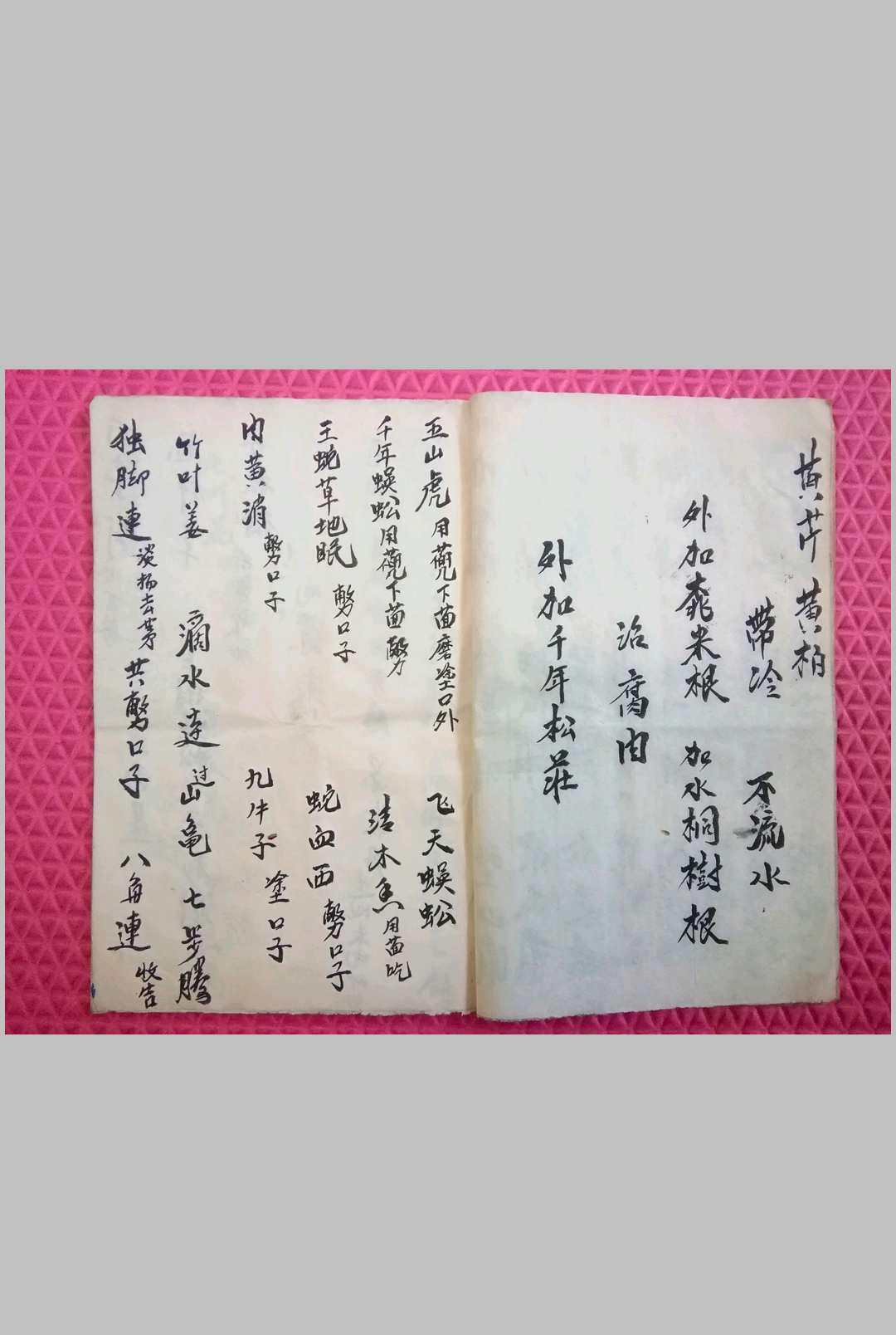图片[5]-中华古籍网-专注古书收集蛇伤科草药本与蛇法符咒-中华古籍网-专注古书收集中华古籍网-专注古书收集
