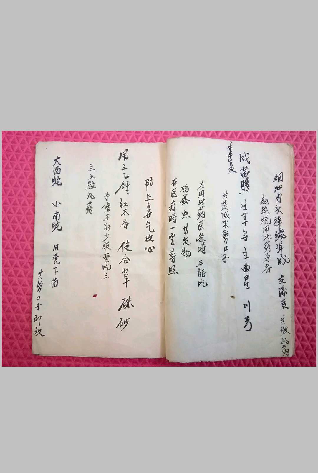 图片[4]-中华古籍网-专注古书收集蛇伤科草药本与蛇法符咒-中华古籍网-专注古书收集中华古籍网-专注古书收集