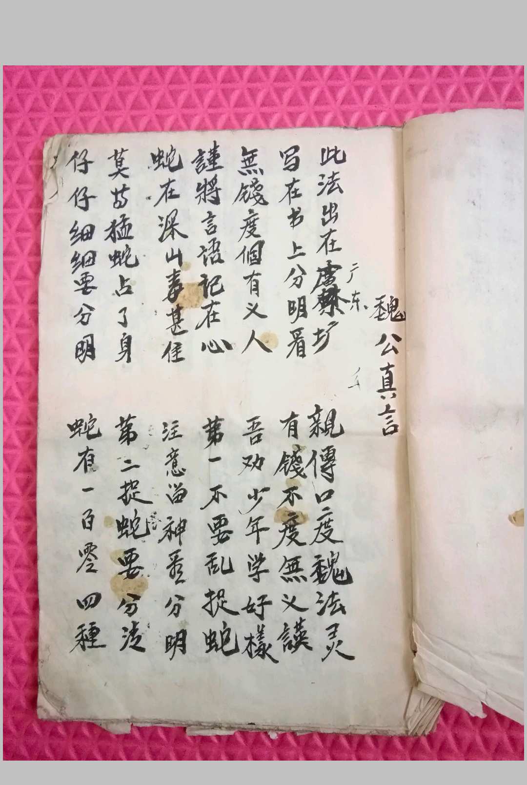 图片[8]-中华古籍网-专注古书收集蛇伤科草药本与蛇法符咒-中华古籍网-专注古书收集中华古籍网-专注古书收集