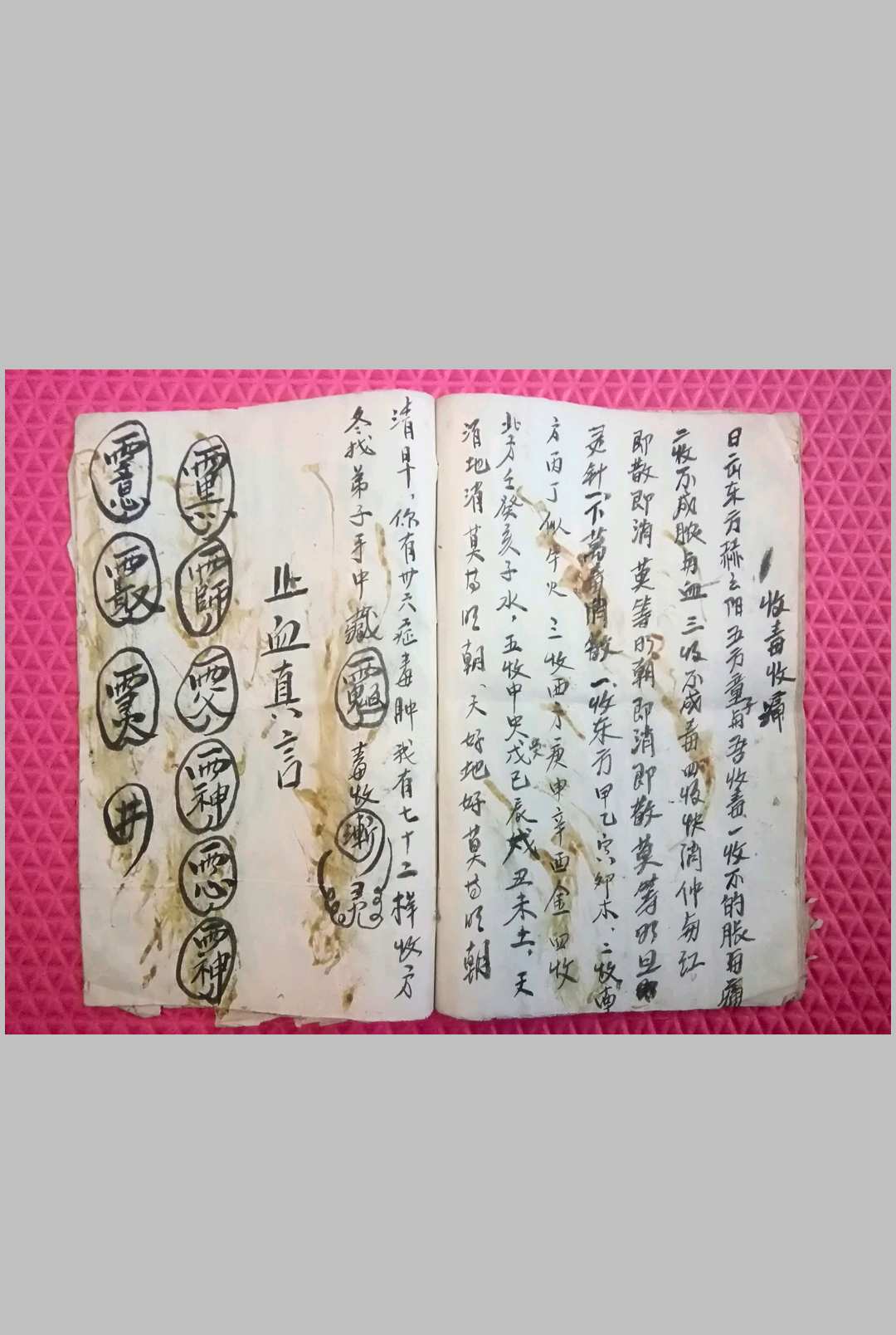 图片[11]-中华古籍网-专注古书收集蛇伤科草药本与蛇法符咒-中华古籍网-专注古书收集中华古籍网-专注古书收集