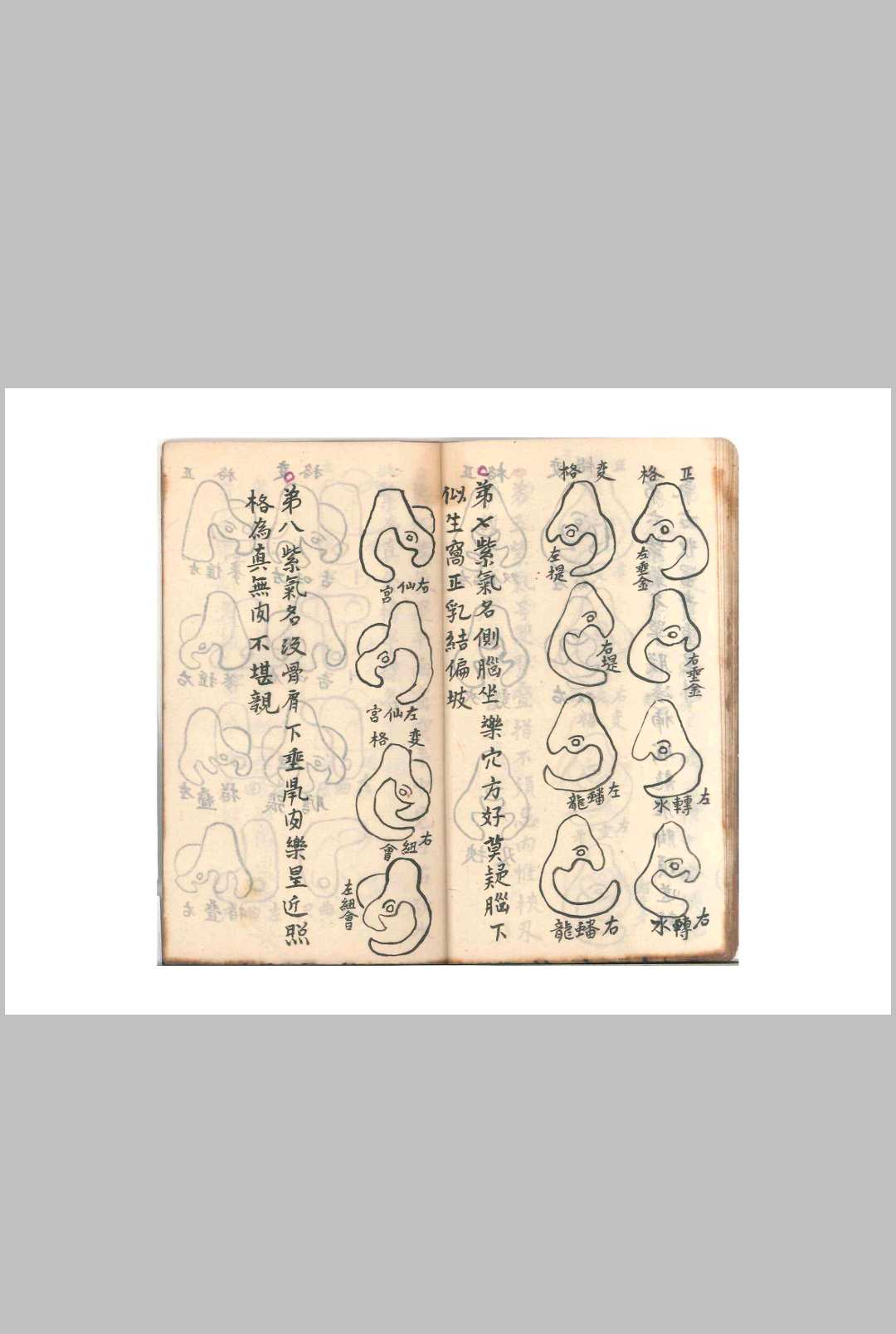 图片[9]-中华古籍网-专注古书收集饶锡莲记（风水）-中华古籍网-专注古书收集中华古籍网-专注古书收集