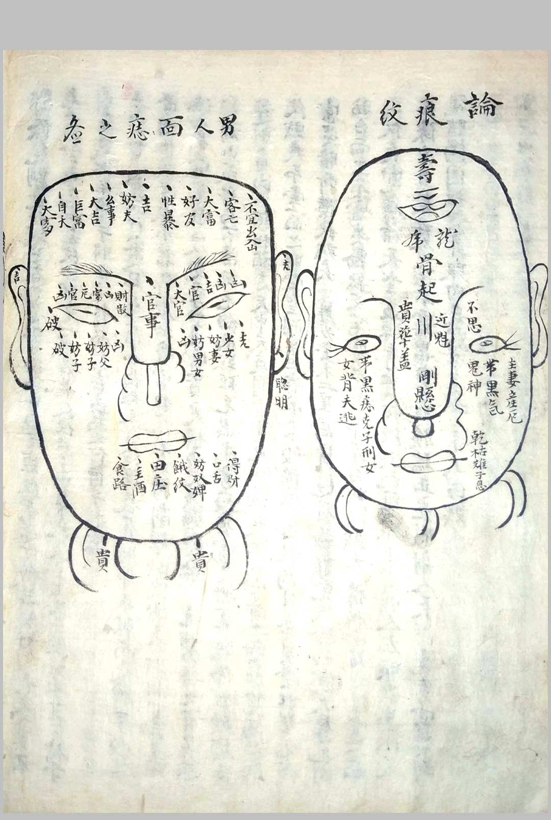 图片[11]-中华古籍网-专注古书收集《相书》甲申年抄本-中华古籍网-专注古书收集中华古籍网-专注古书收集