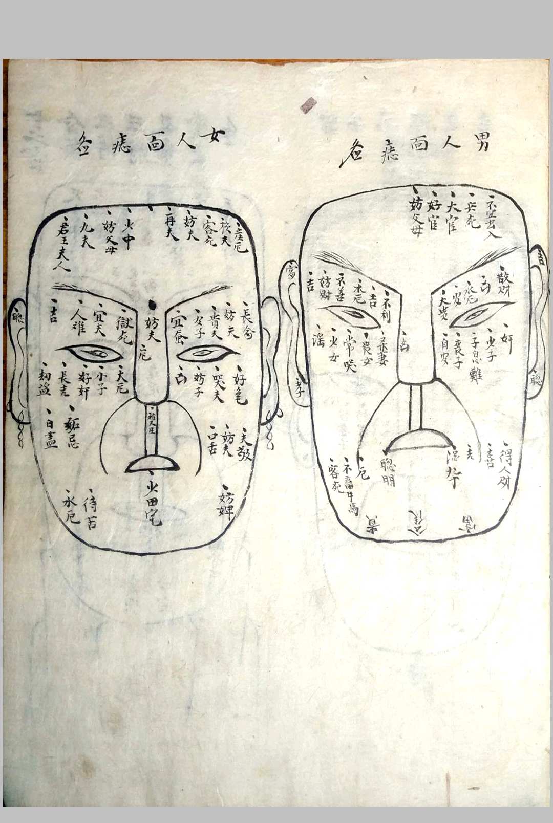 图片[14]-中华古籍网-专注古书收集《相书》甲申年抄本-中华古籍网-专注古书收集中华古籍网-专注古书收集