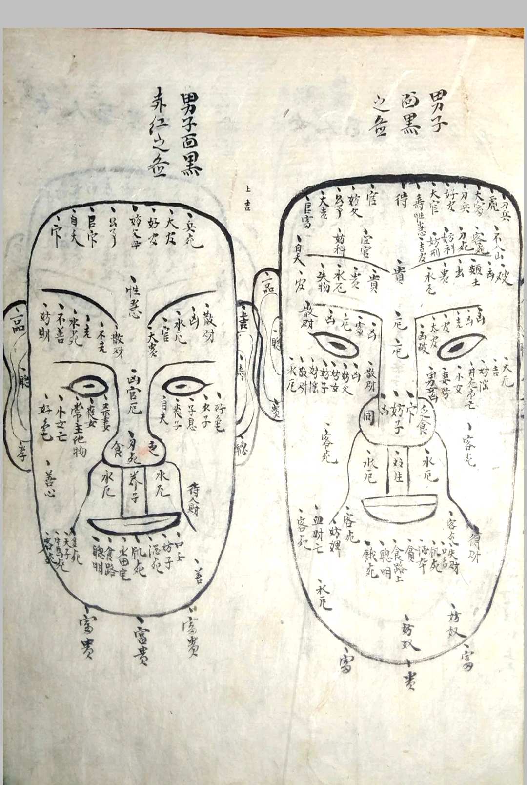 图片[12]-中华古籍网-专注古书收集《相书》甲申年抄本-中华古籍网-专注古书收集中华古籍网-专注古书收集