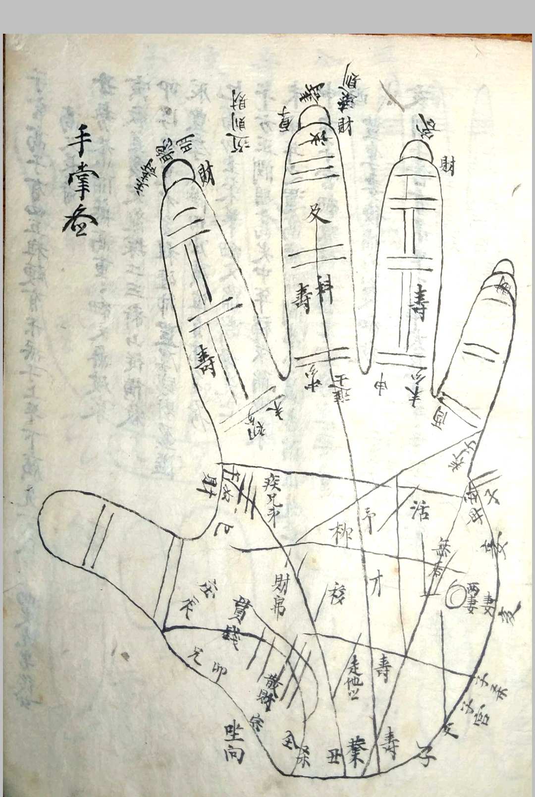 图片[13]-中华古籍网-专注古书收集《相书》甲申年抄本-中华古籍网-专注古书收集中华古籍网-专注古书收集