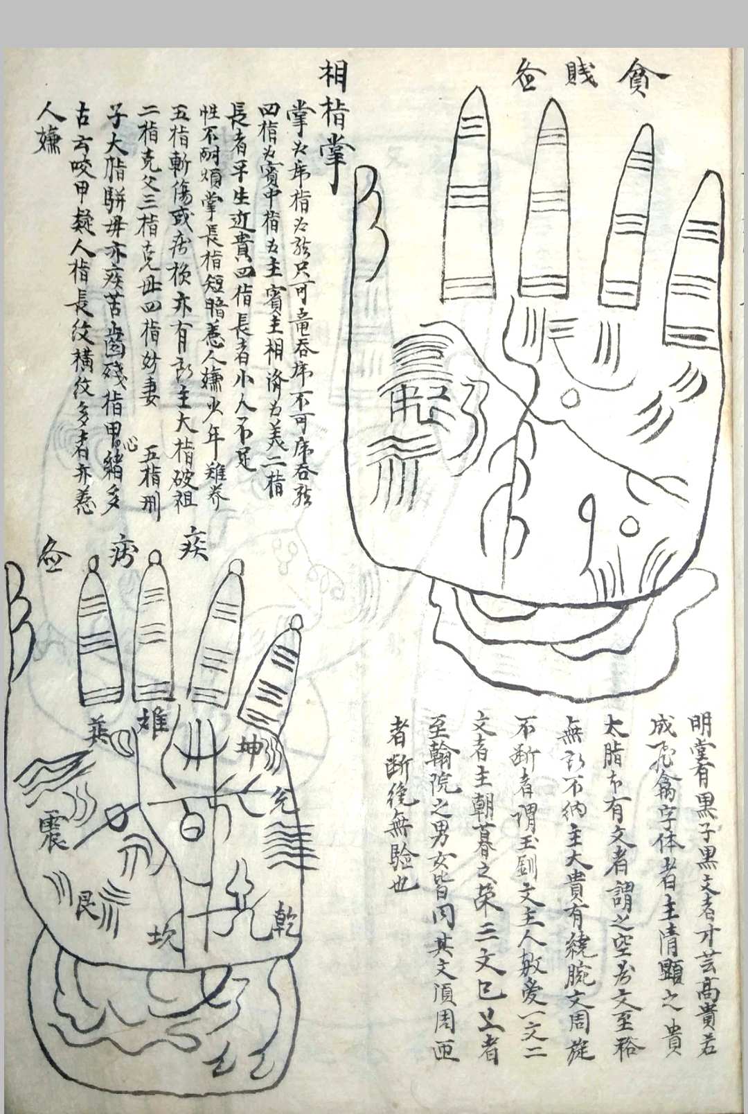 图片[17]-中华古籍网-专注古书收集《相书》甲申年抄本-中华古籍网-专注古书收集中华古籍网-专注古书收集