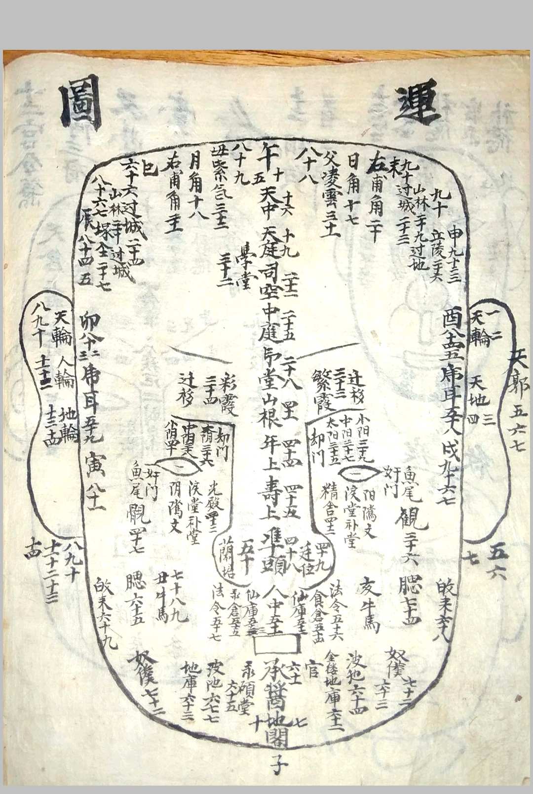 图片[15]-中华古籍网-专注古书收集《相书》甲申年抄本-中华古籍网-专注古书收集中华古籍网-专注古书收集