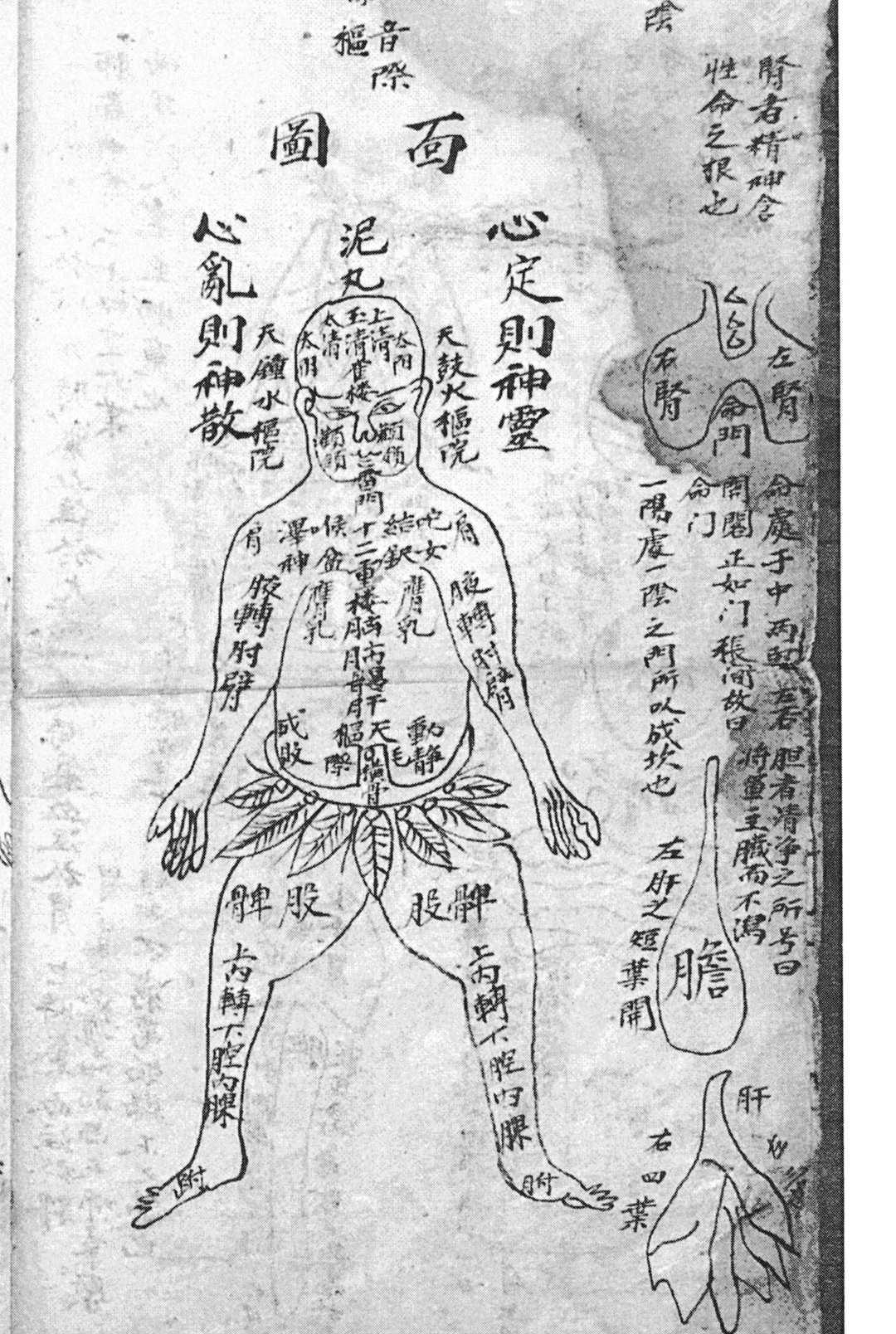 图片[5]-中华古籍网-专注古书收集《伏表真人图》-中华古籍网-专注古书收集中华古籍网-专注古书收集
